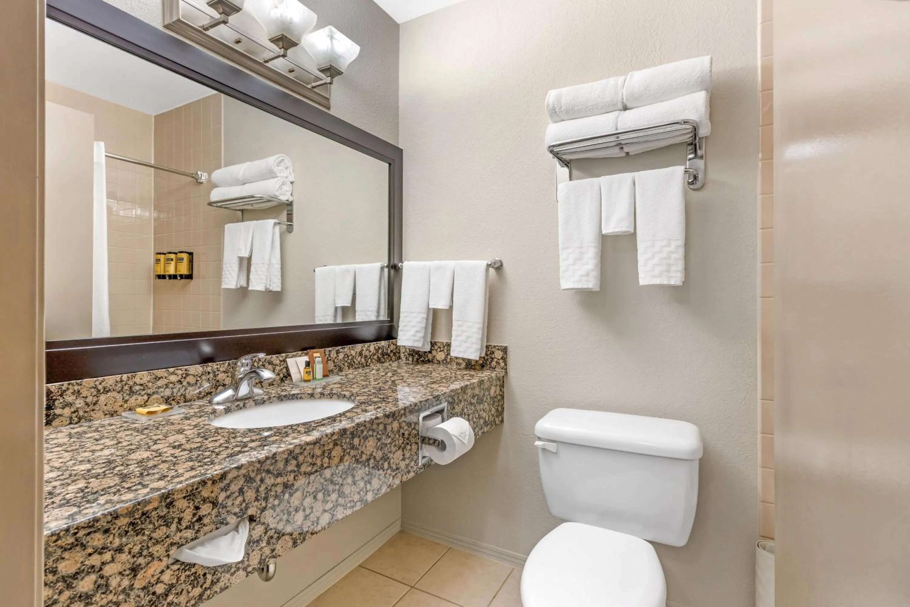 Bathroom in Best Western Plus Pembina Inn & Suites
