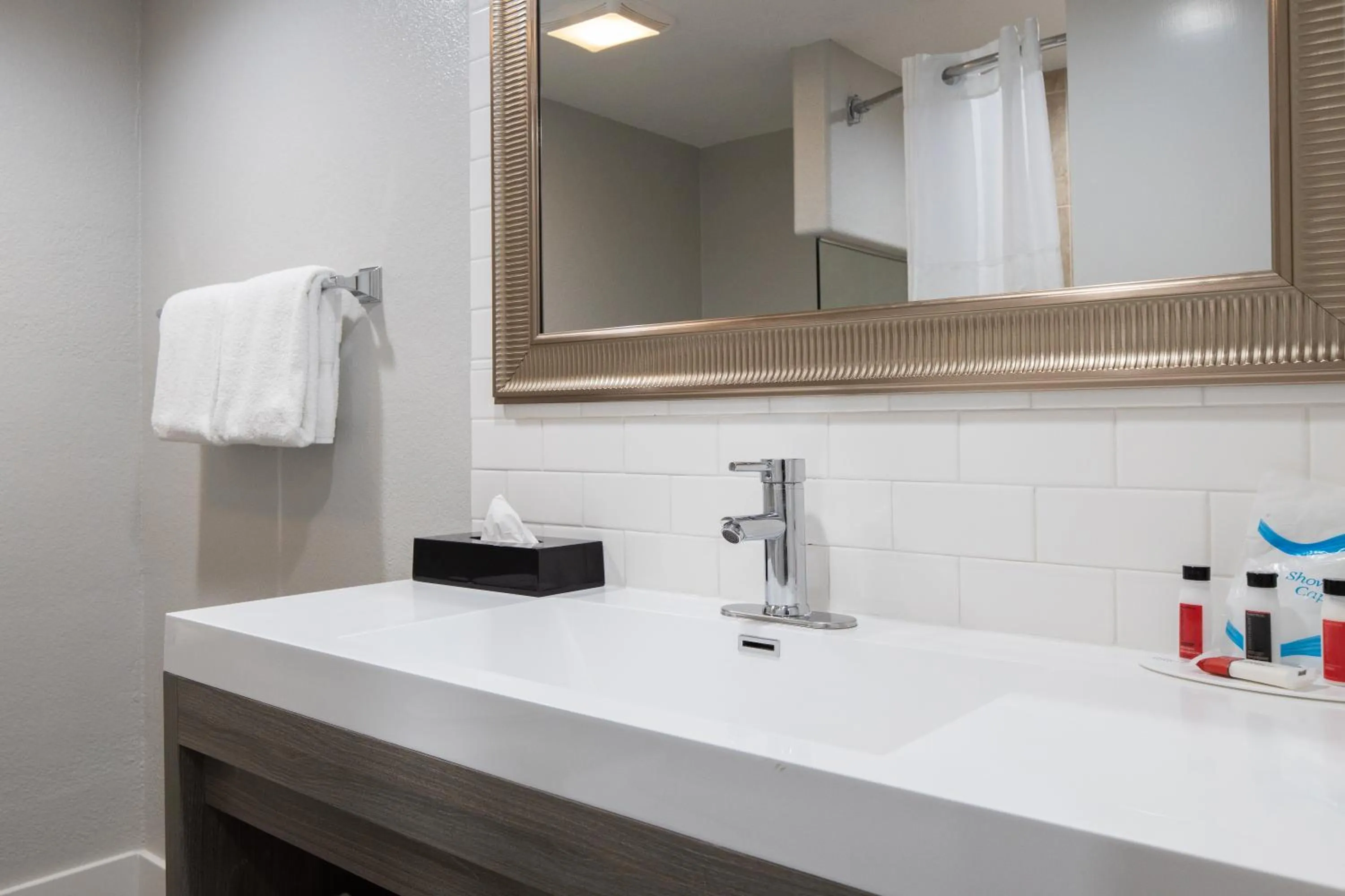 Bathroom in Prodigy Hotel, a Days Inn by Wyndham