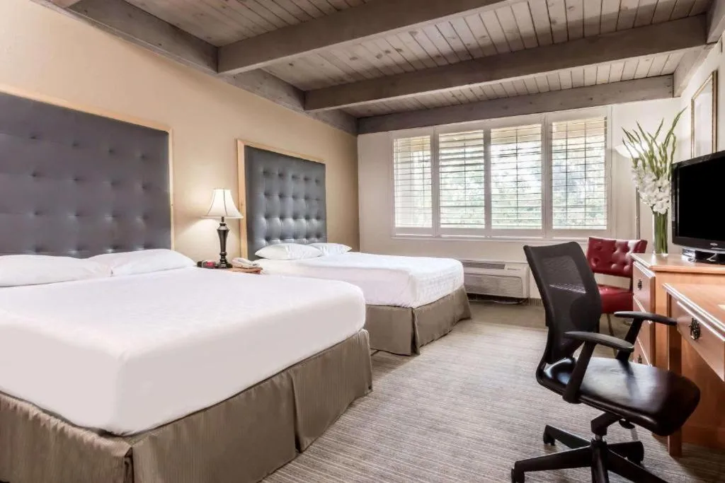 Bed in Prodigy Hotel, a Days Inn by Wyndham