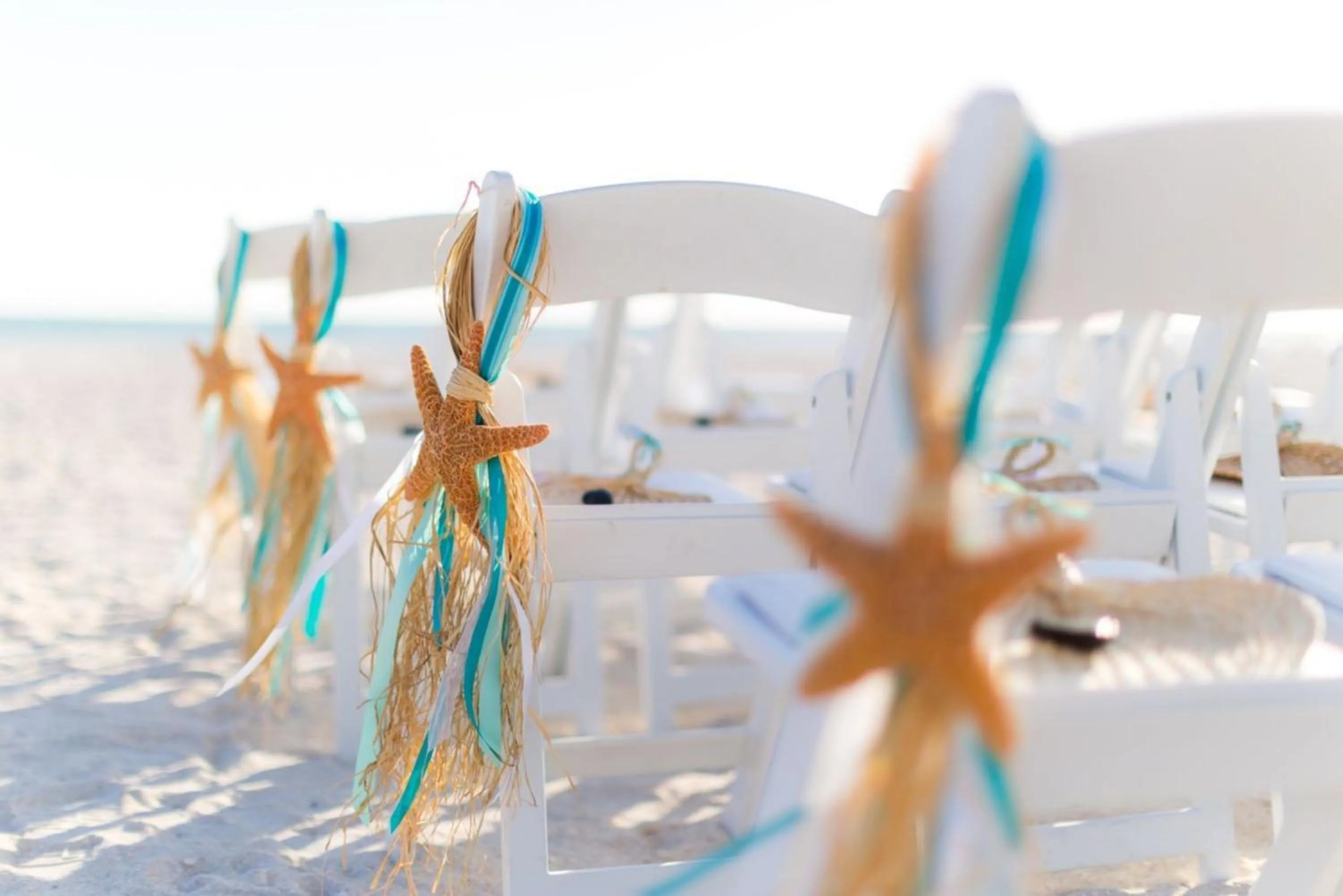 wedding in Sirata Beach Resort St Pete Beach