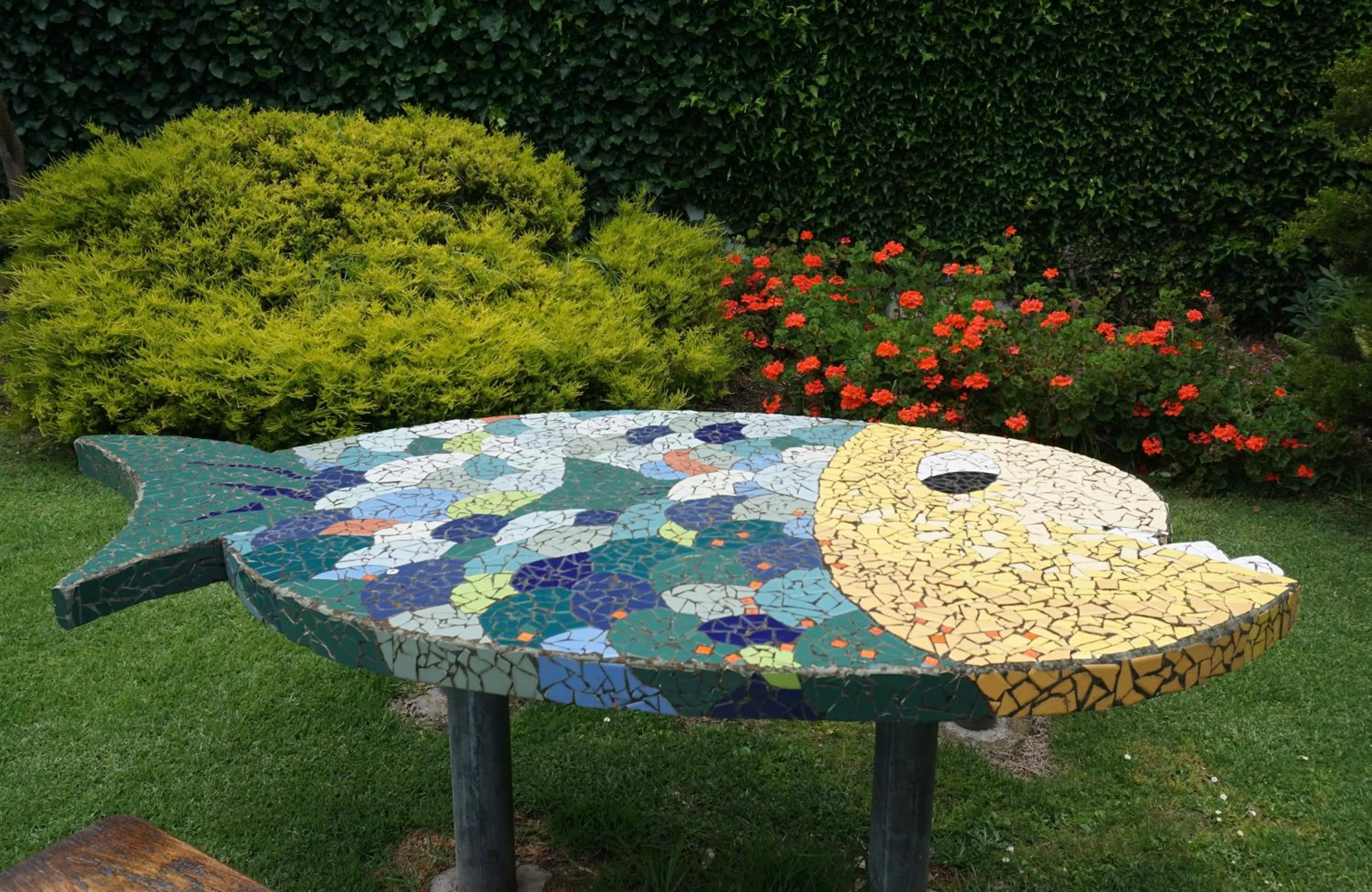 Garden view in Central Motel Port Fairy