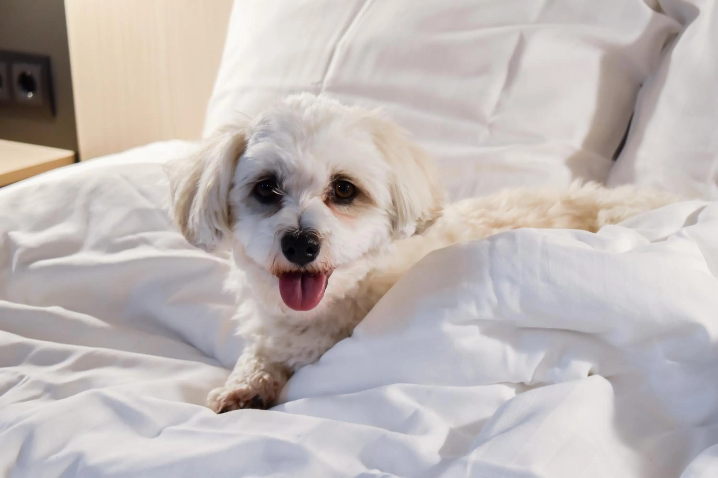 Bed in Good Morning Mölndal