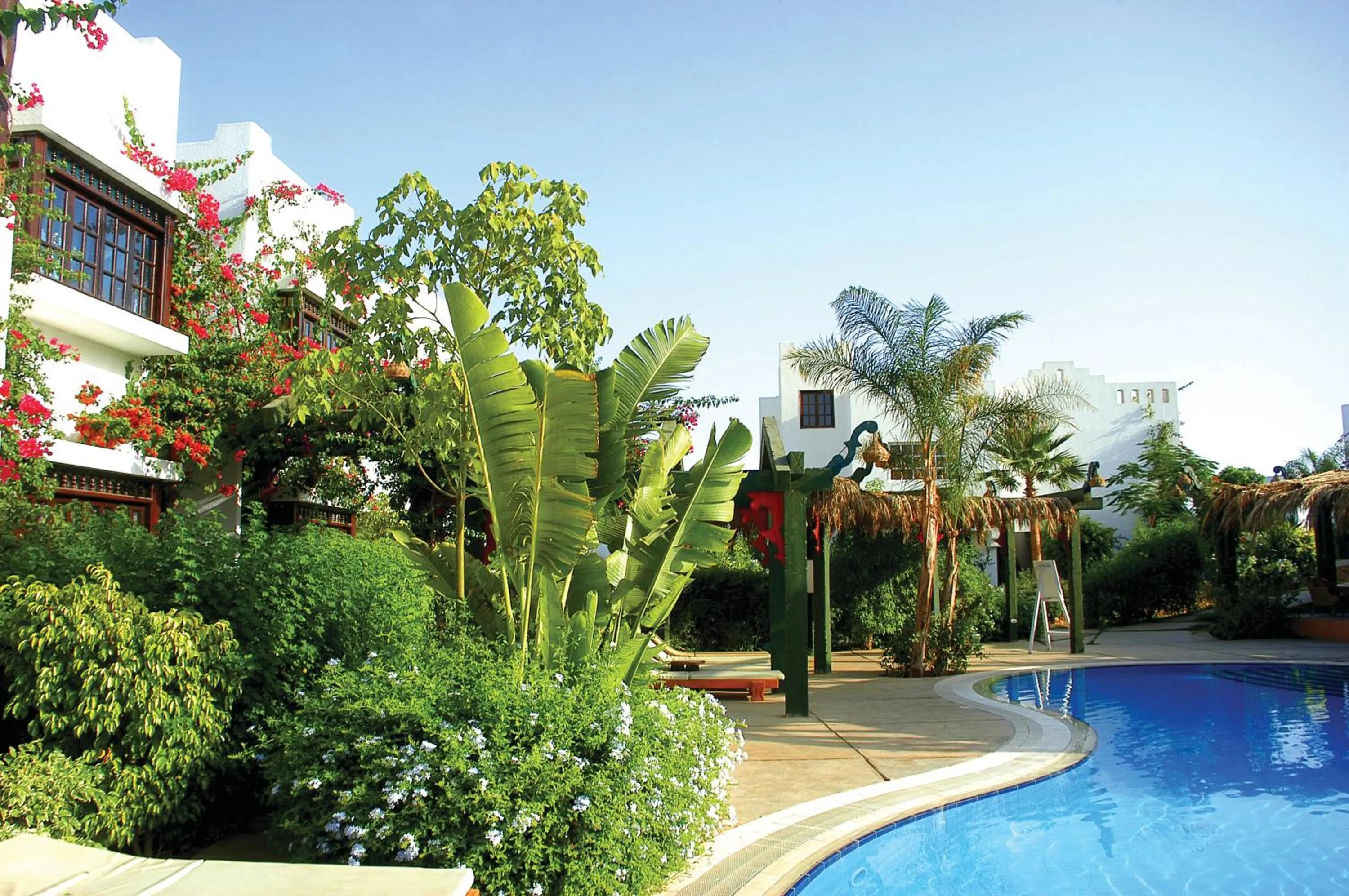 Pool view in DELTA SHARM RESORT ,Official Web, DELTA RENT, Sharm El Sheikh, South Sinai, Egypt
