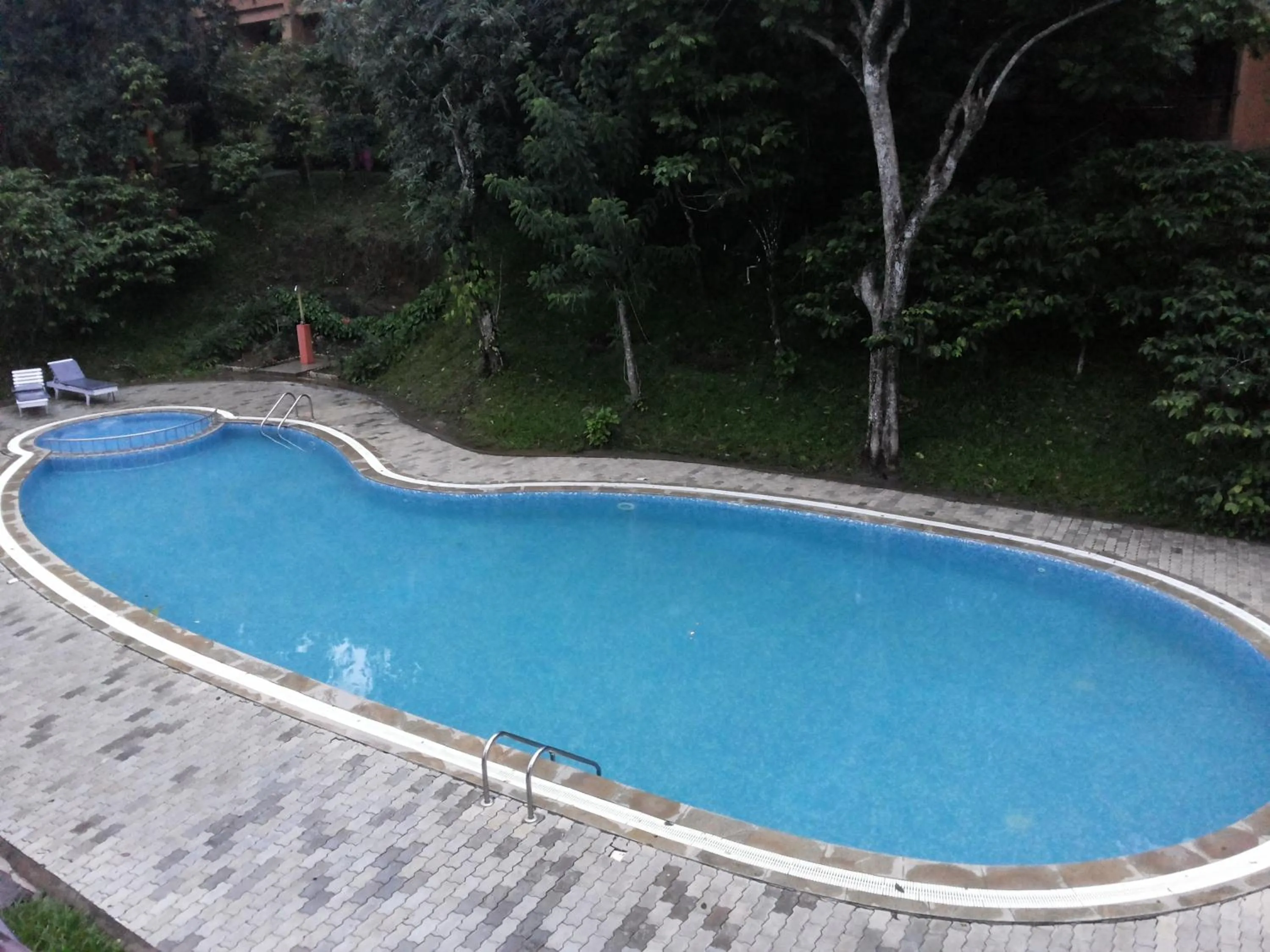 Swimming pool in Abad Green Forest Thekkady