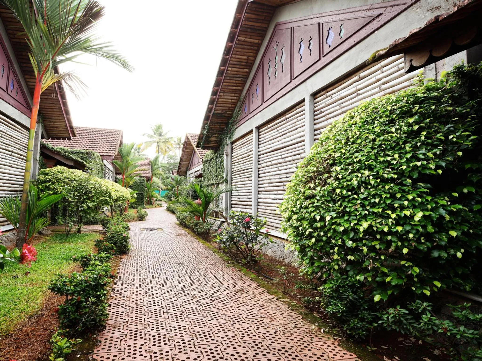 Day in Abad Whispering Palms