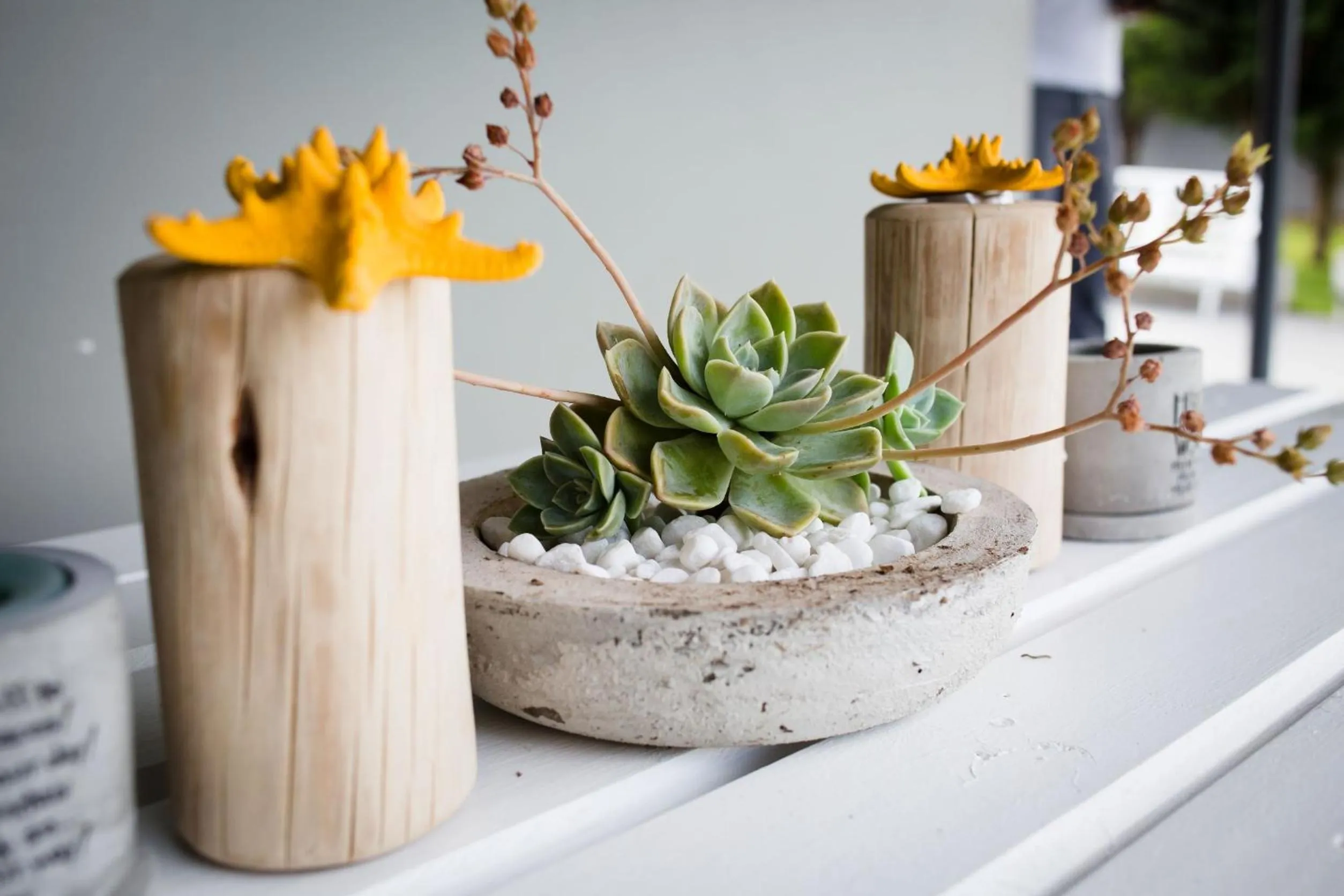 Garden view in Three Feathers Cottages