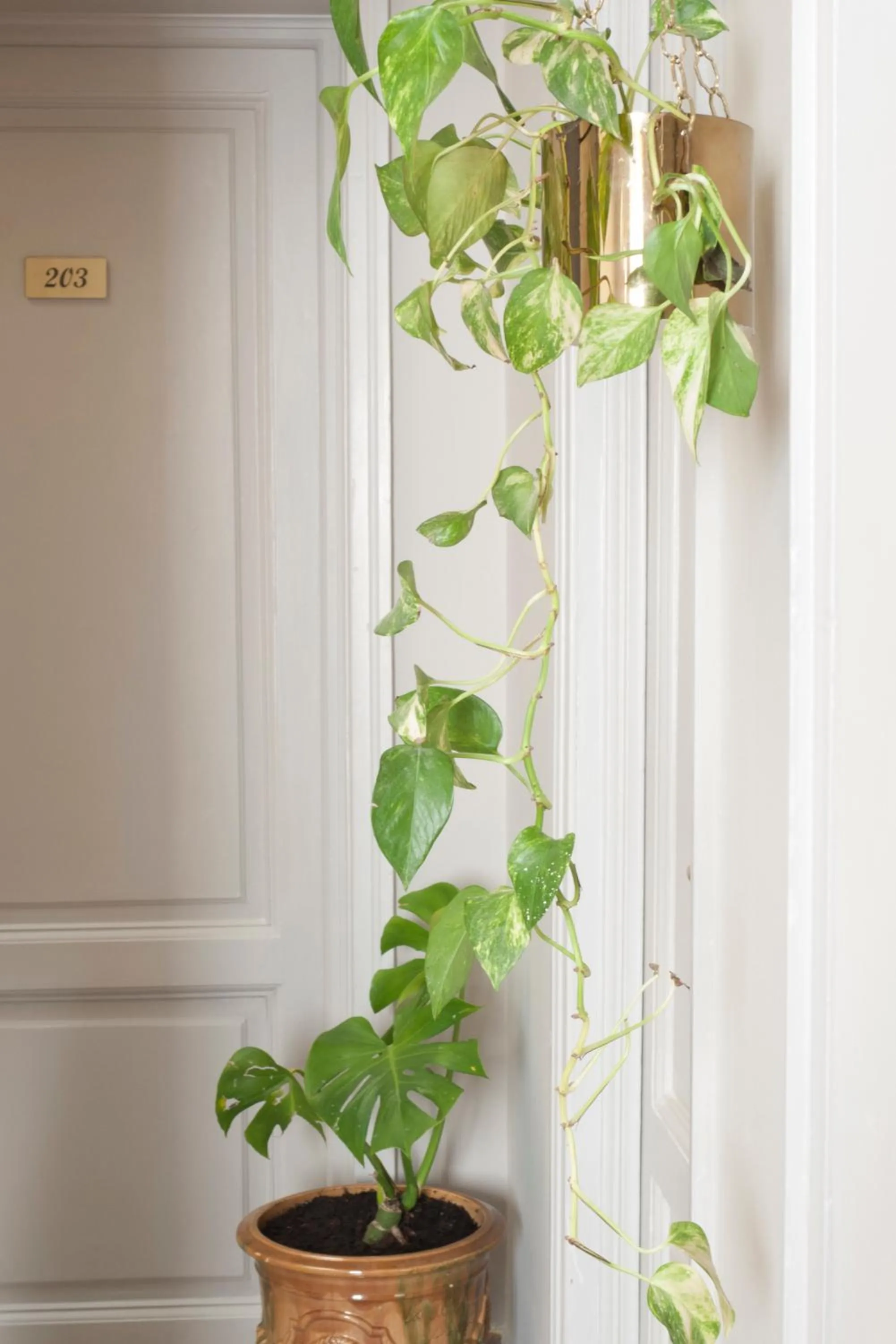 Spring in Relais Stibbert Florence