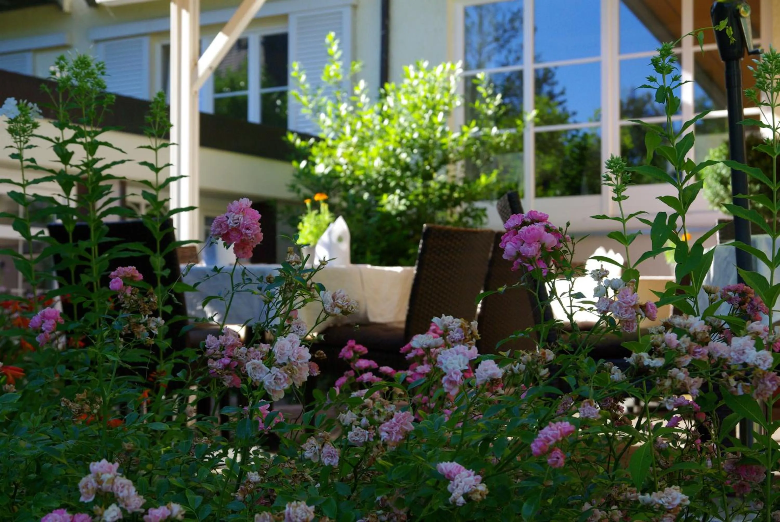 Property building in Hotel Lindenallee