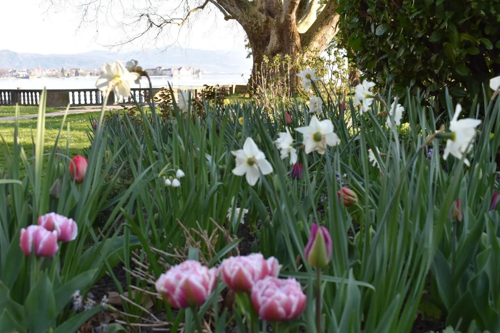 Natural landscape in Hotel Lindenallee