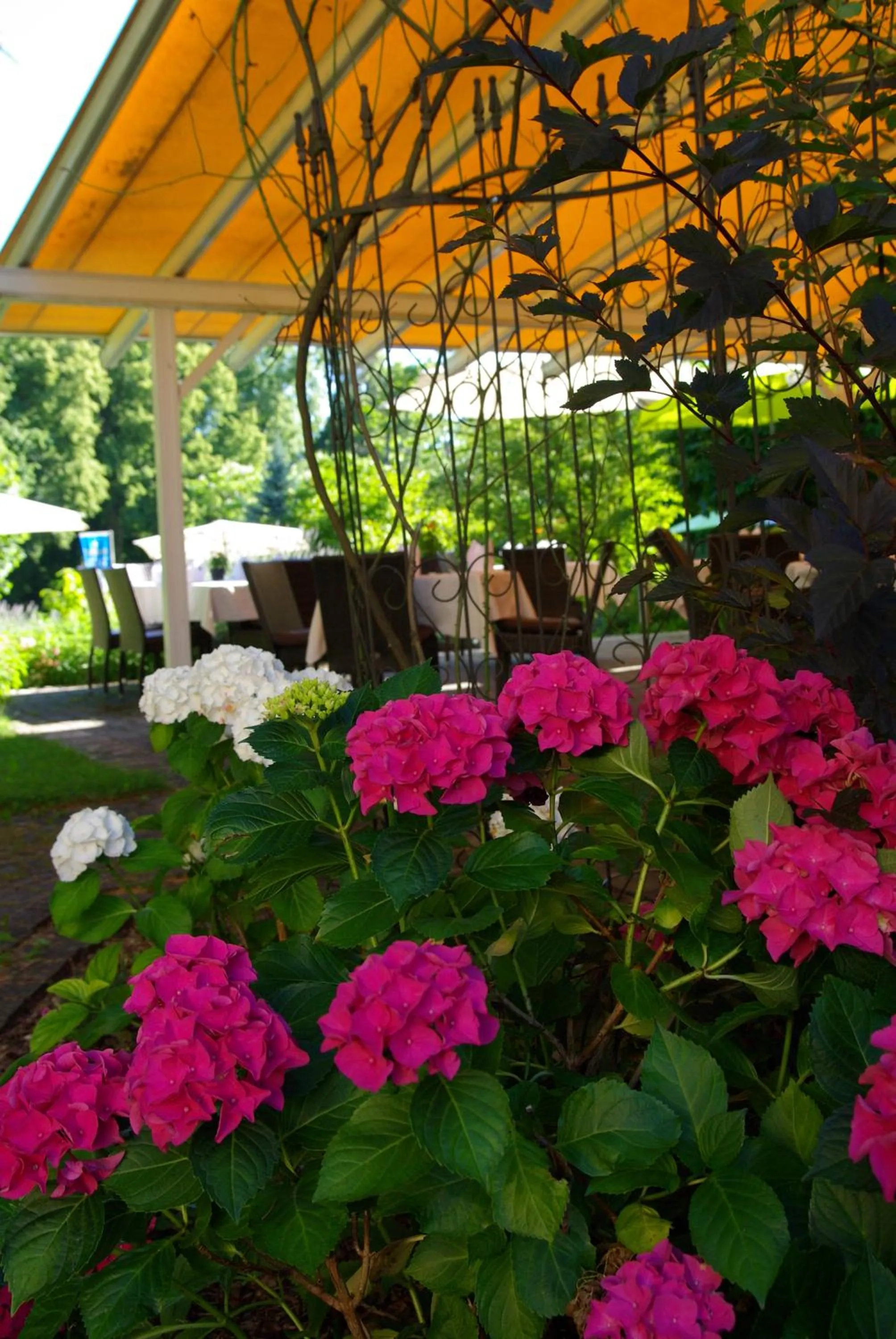Garden in Hotel Lindenallee