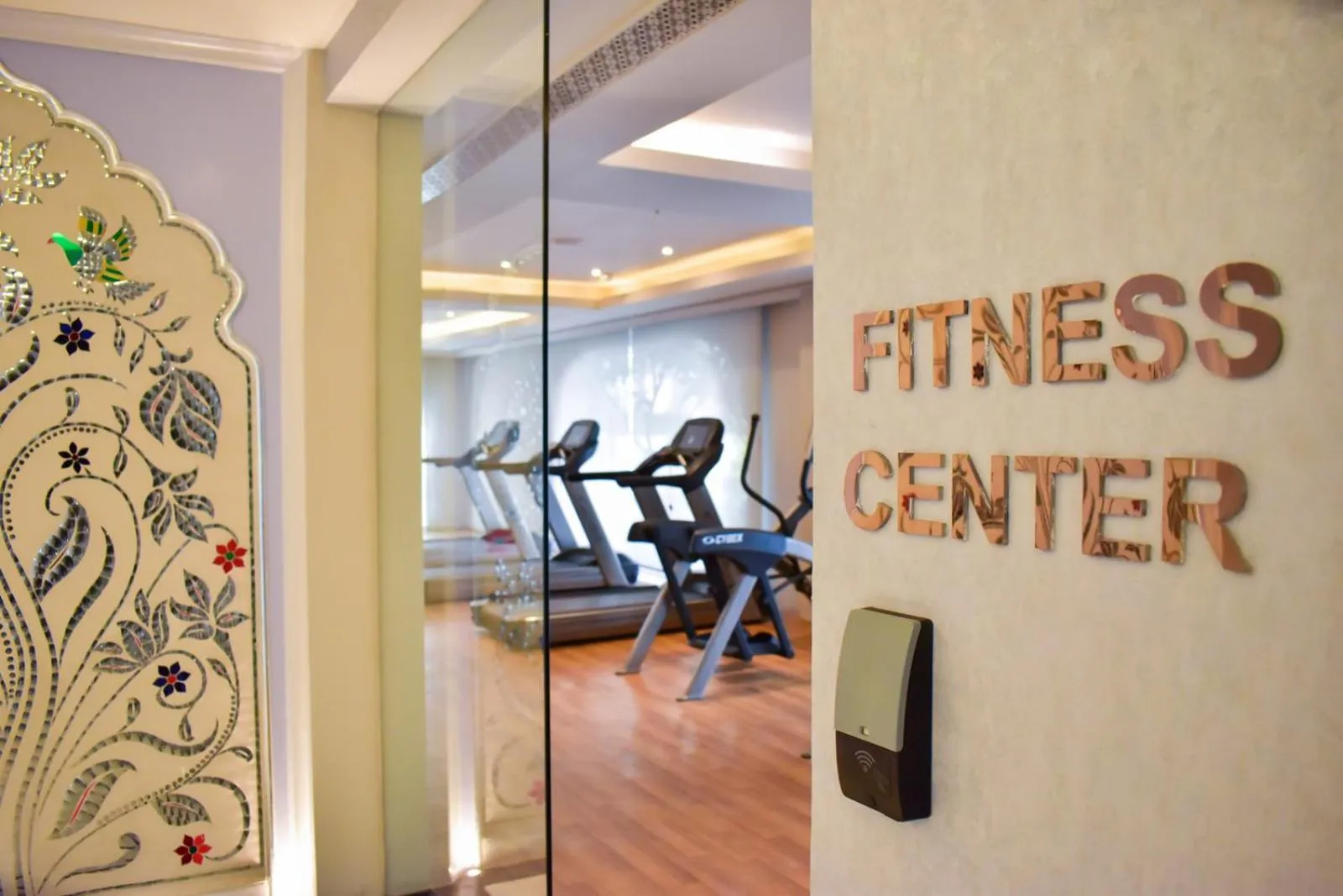Fitness centre/facilities in The Leela Palace Jaipur