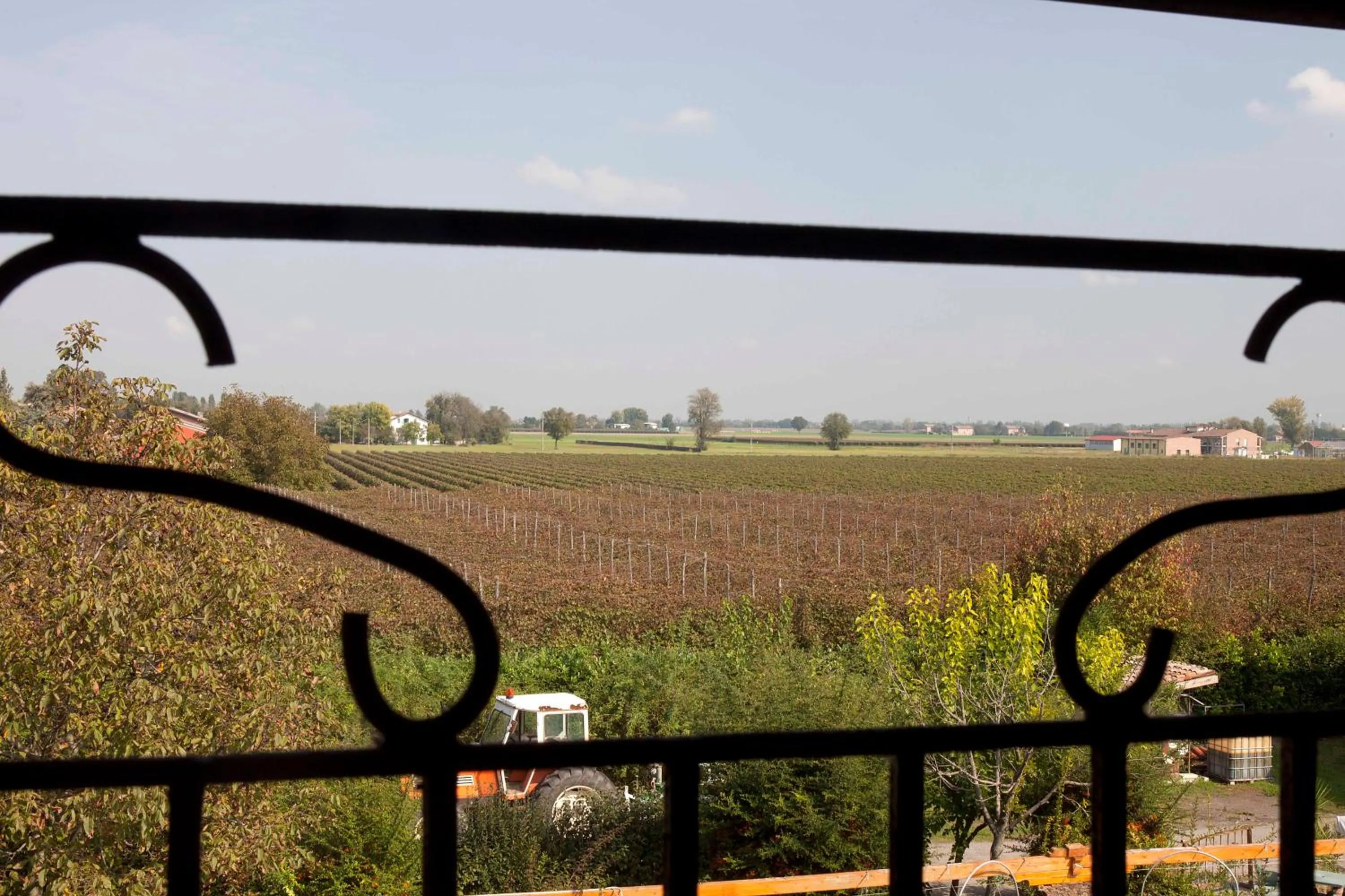 Agriturismo Il Bove