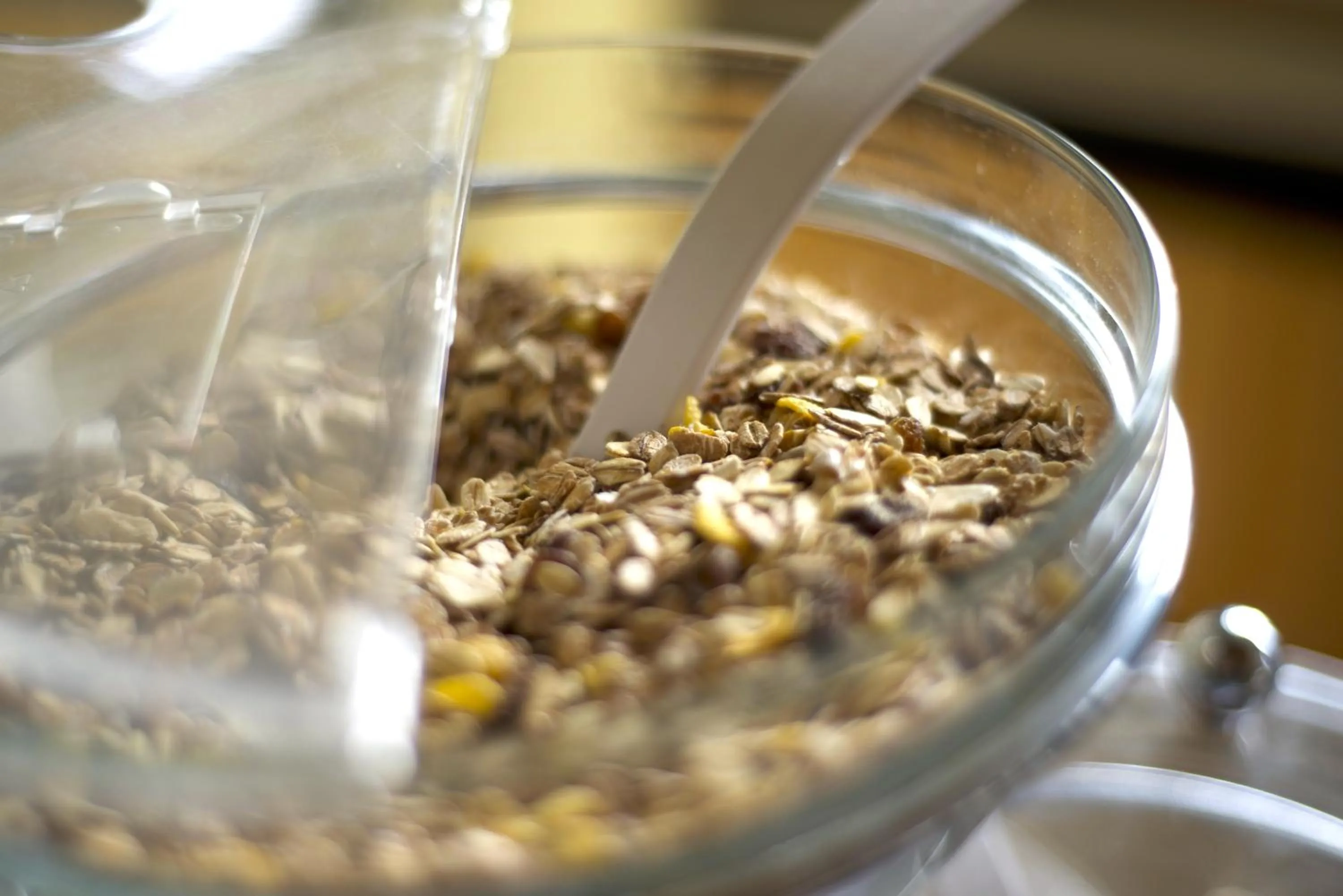 Food in Hotel Marienhof Düsseldorf Neuss