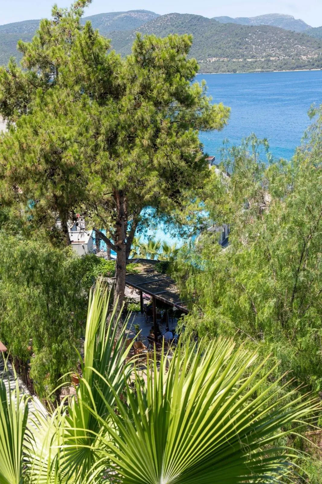 Natural landscape in Blue Dreams Resort Bodrum - Aquapark & Ultra All Inclusive