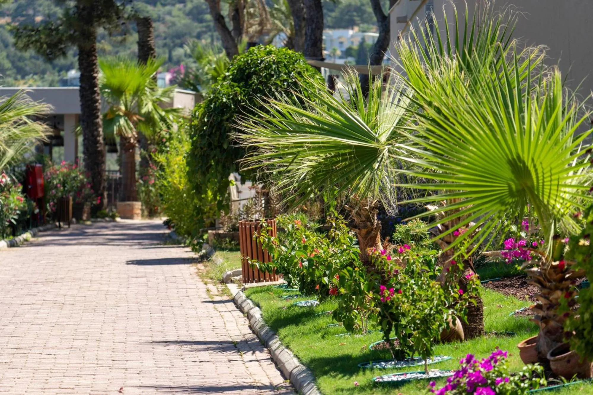 Natural landscape in Blue Dreams Resort Bodrum - Aquapark & Ultra All Inclusive