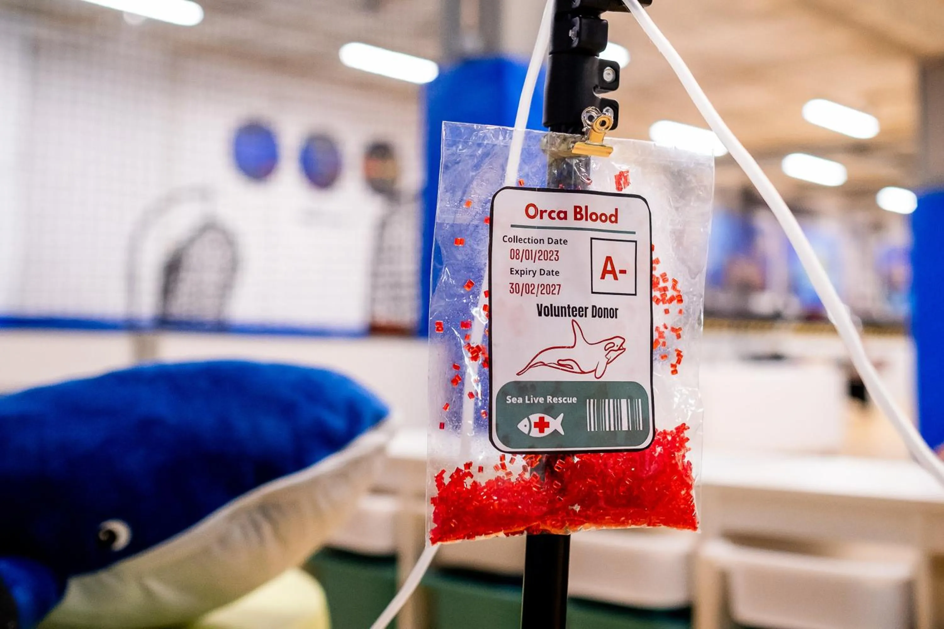 Fitness centre/facilities in Onyria Marinha Cascais, Vignette Collection by IHG