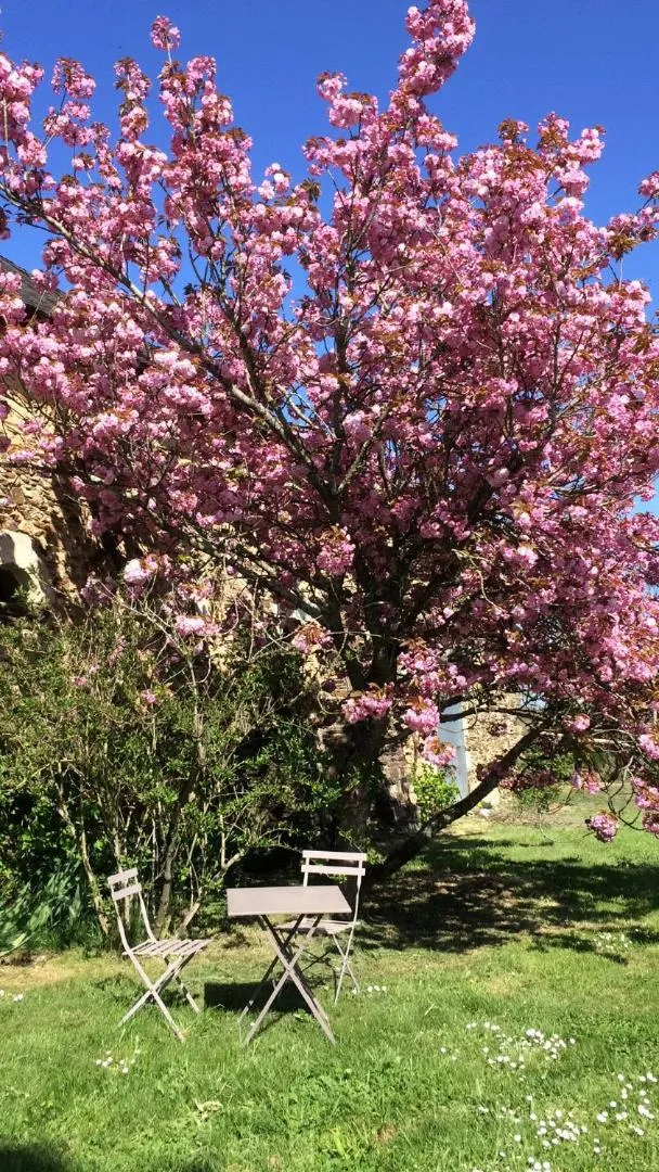 Garden in La Moulinière, jolie longère du XVIIè 25, chemin de la Source
