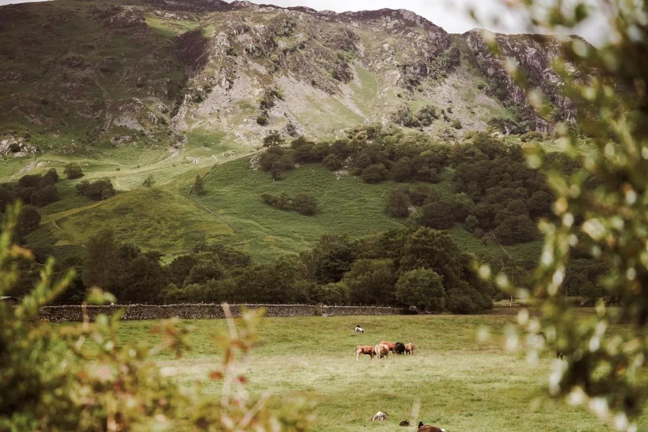 Natural landscape in Royal Oak Hotel