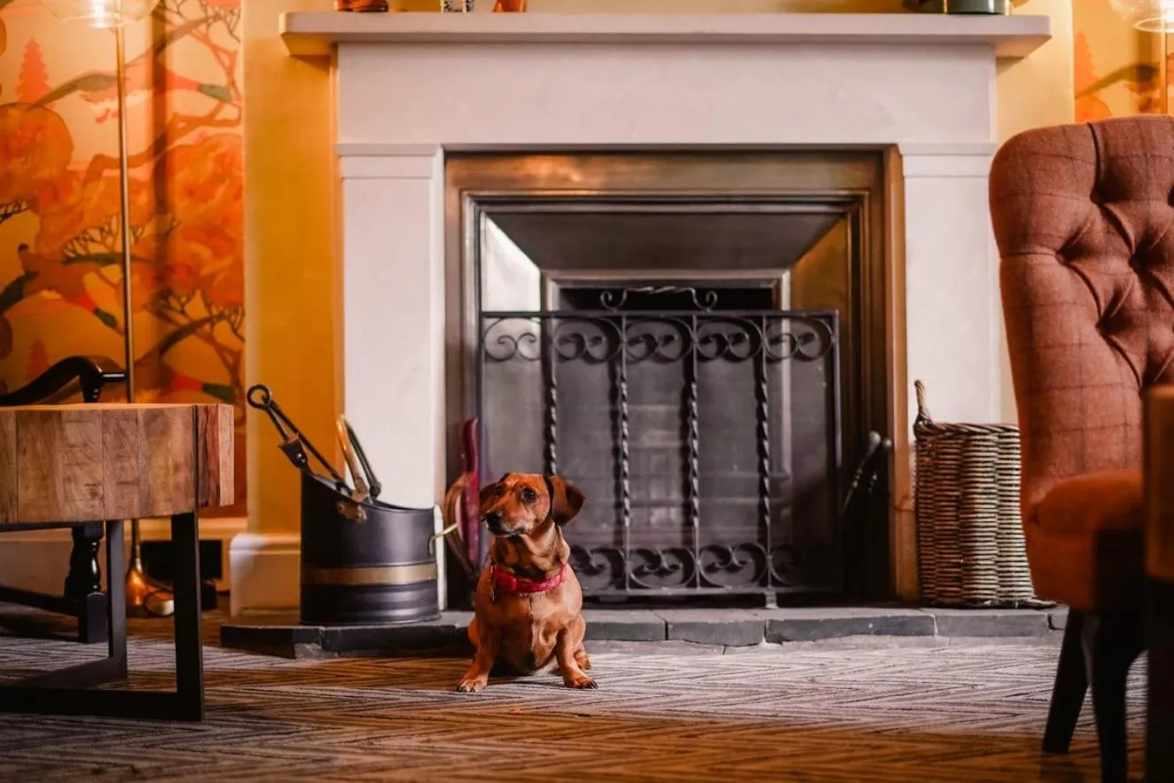 Pets in Royal Oak Hotel