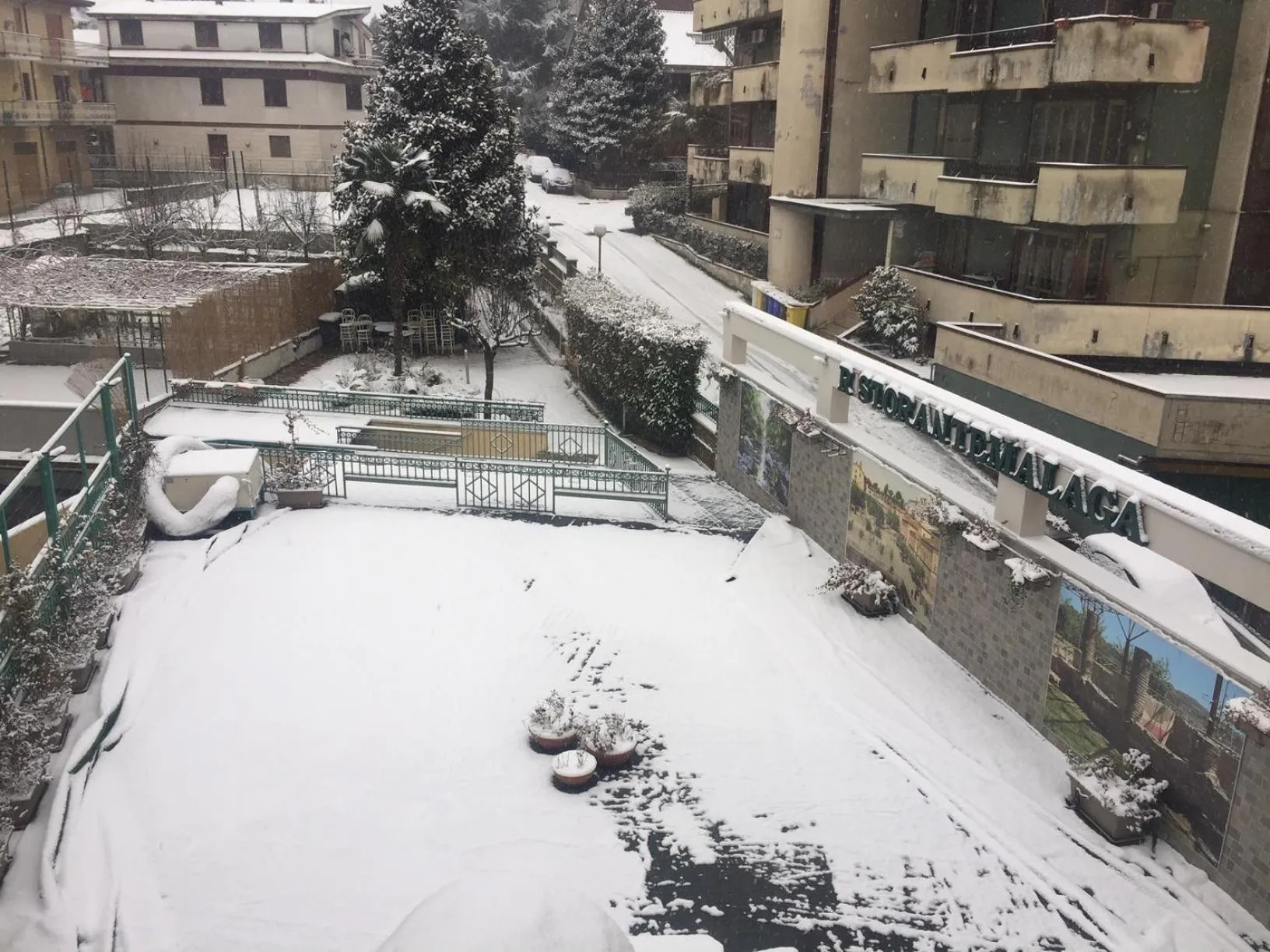 Garden view in Hotel Malaga