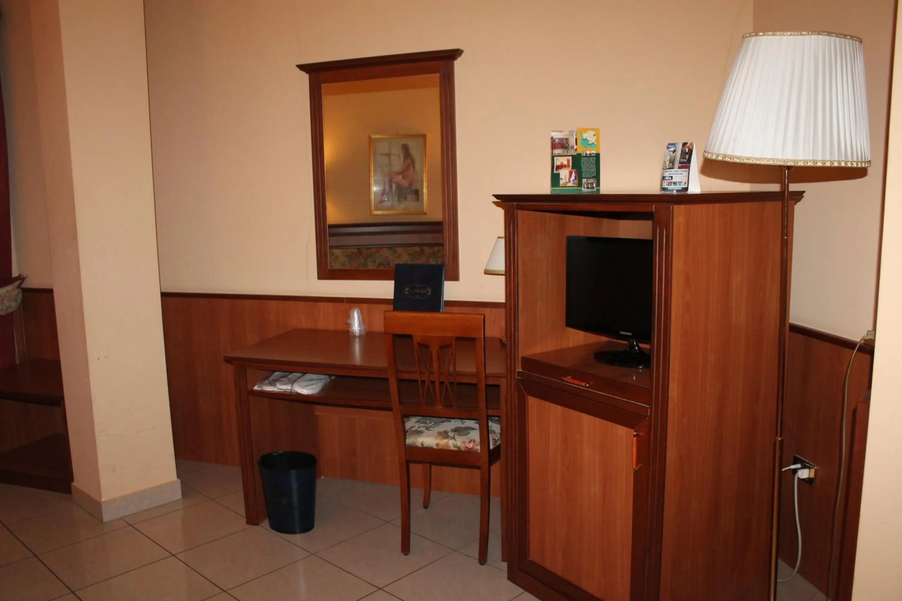 TV and multimedia in Hotel Malaga