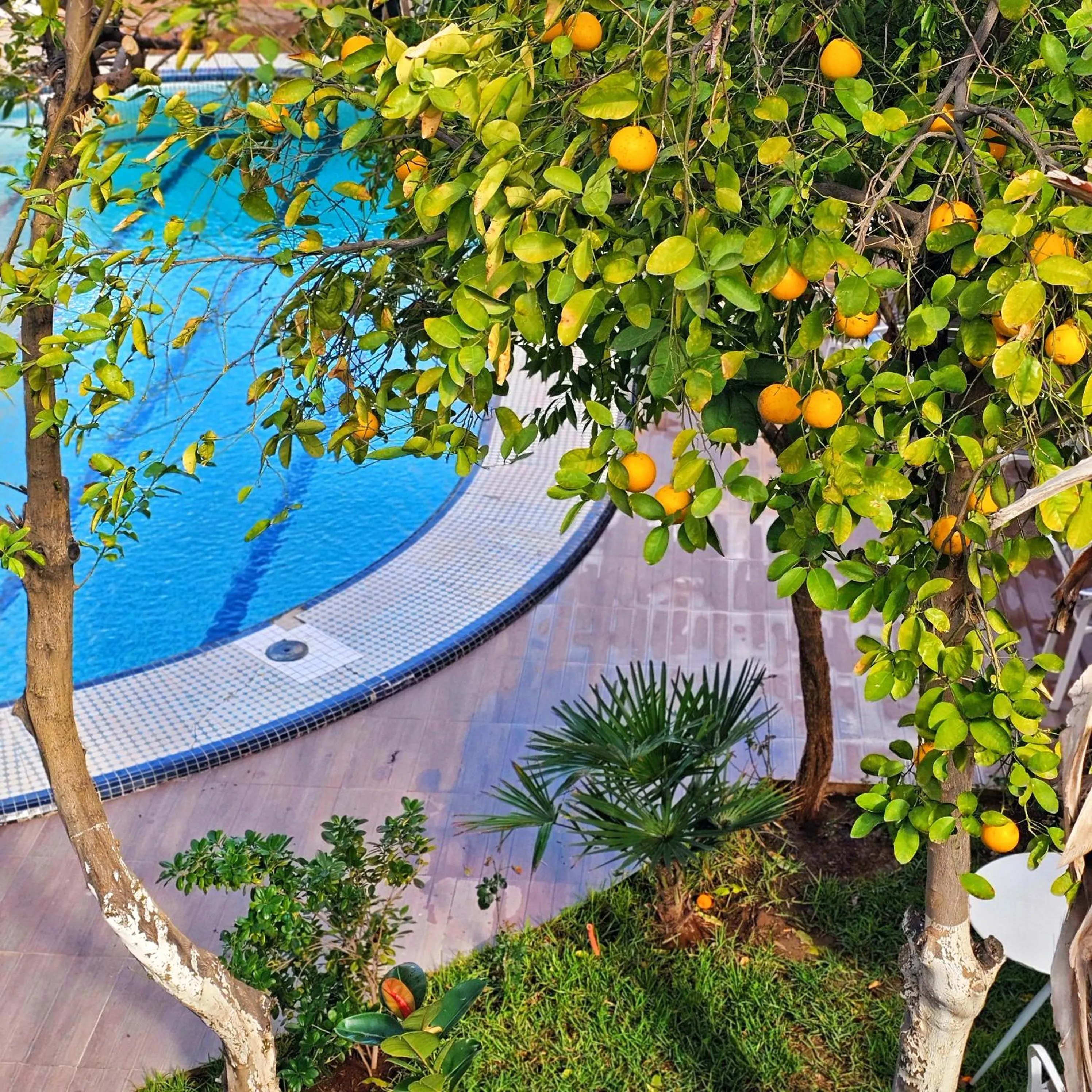 Hotel EZZAHIA by HMS