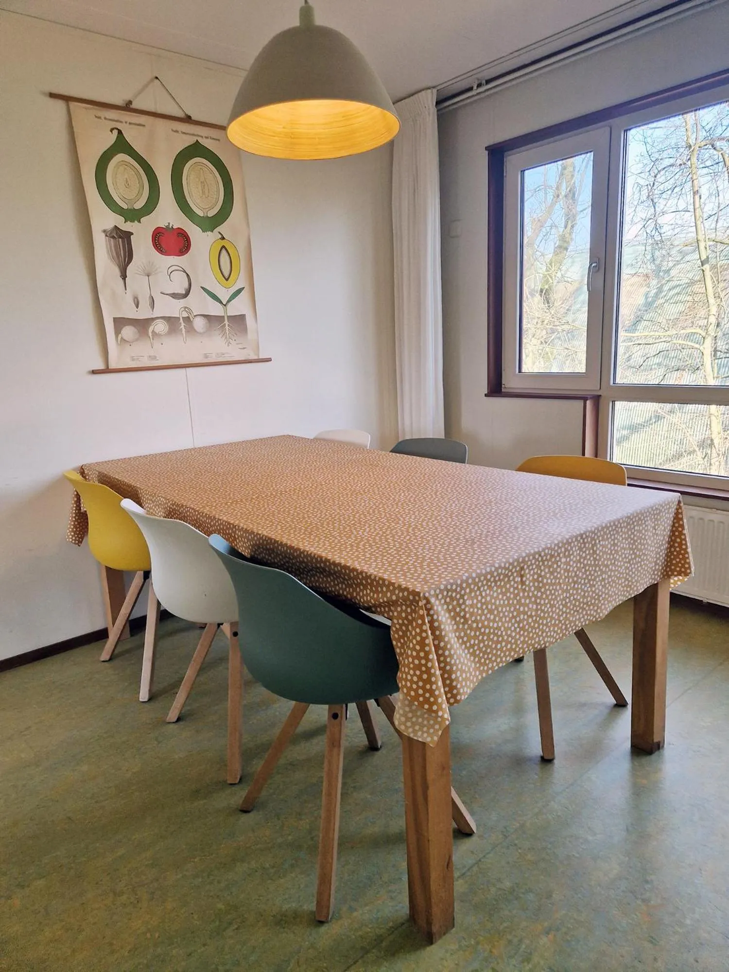 Dining area in Amsterdam Farm Lodge