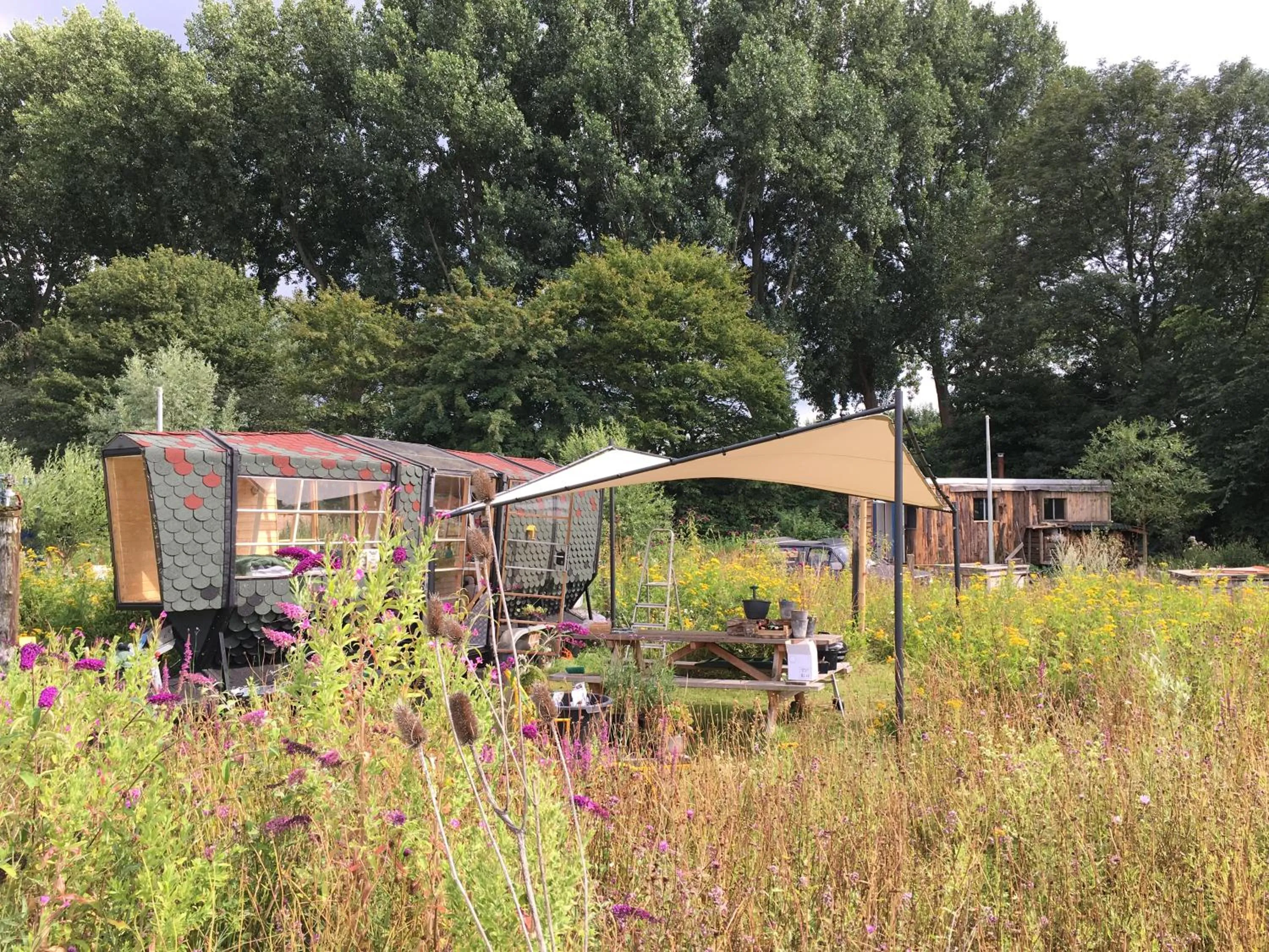 Garden in Amsterdam Farm Lodge