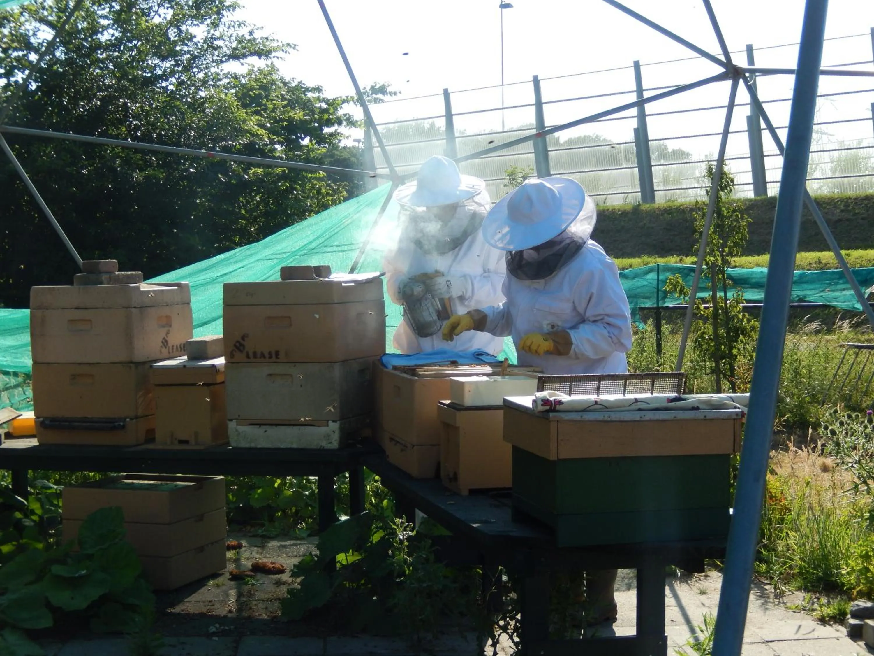 Activities in Amsterdam Farm Lodge