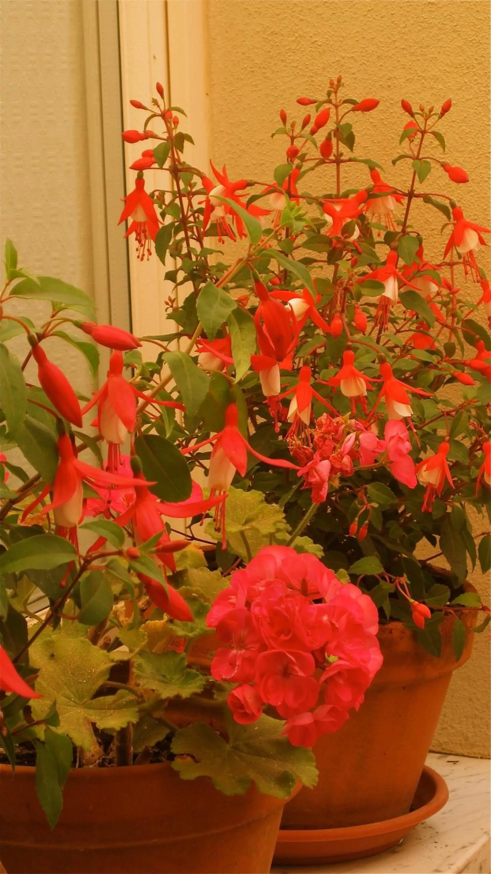 Spring in Hotel Villa Pimpina