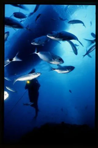 Property building in Hotel Villa Pimpina