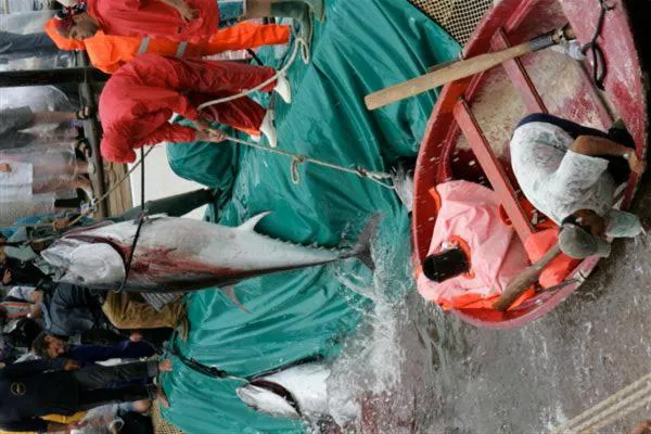 Property building in Hotel Villa Pimpina