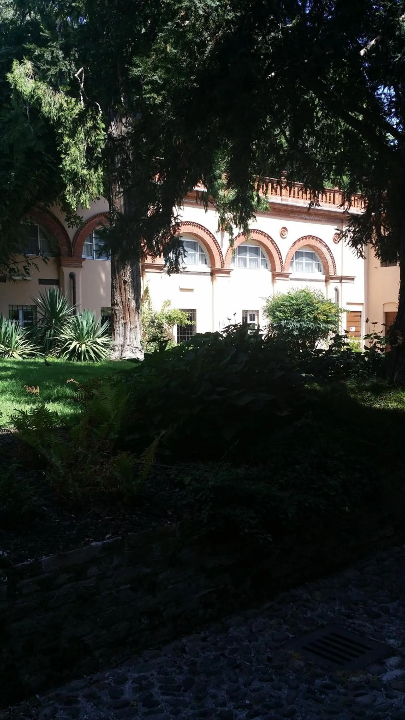 Day in Residence In Centro