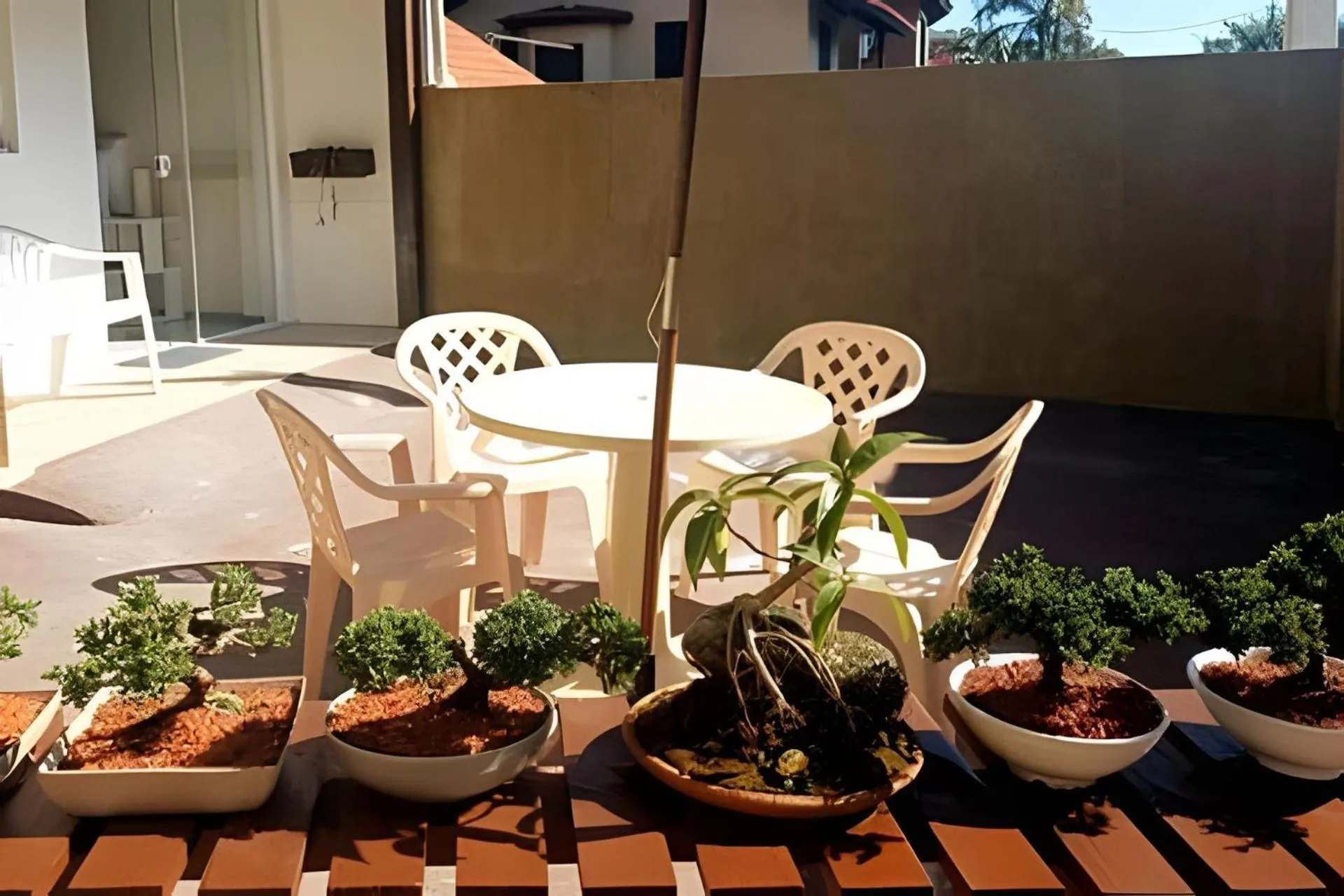 Area and facilities in Pousada Estrela Mares