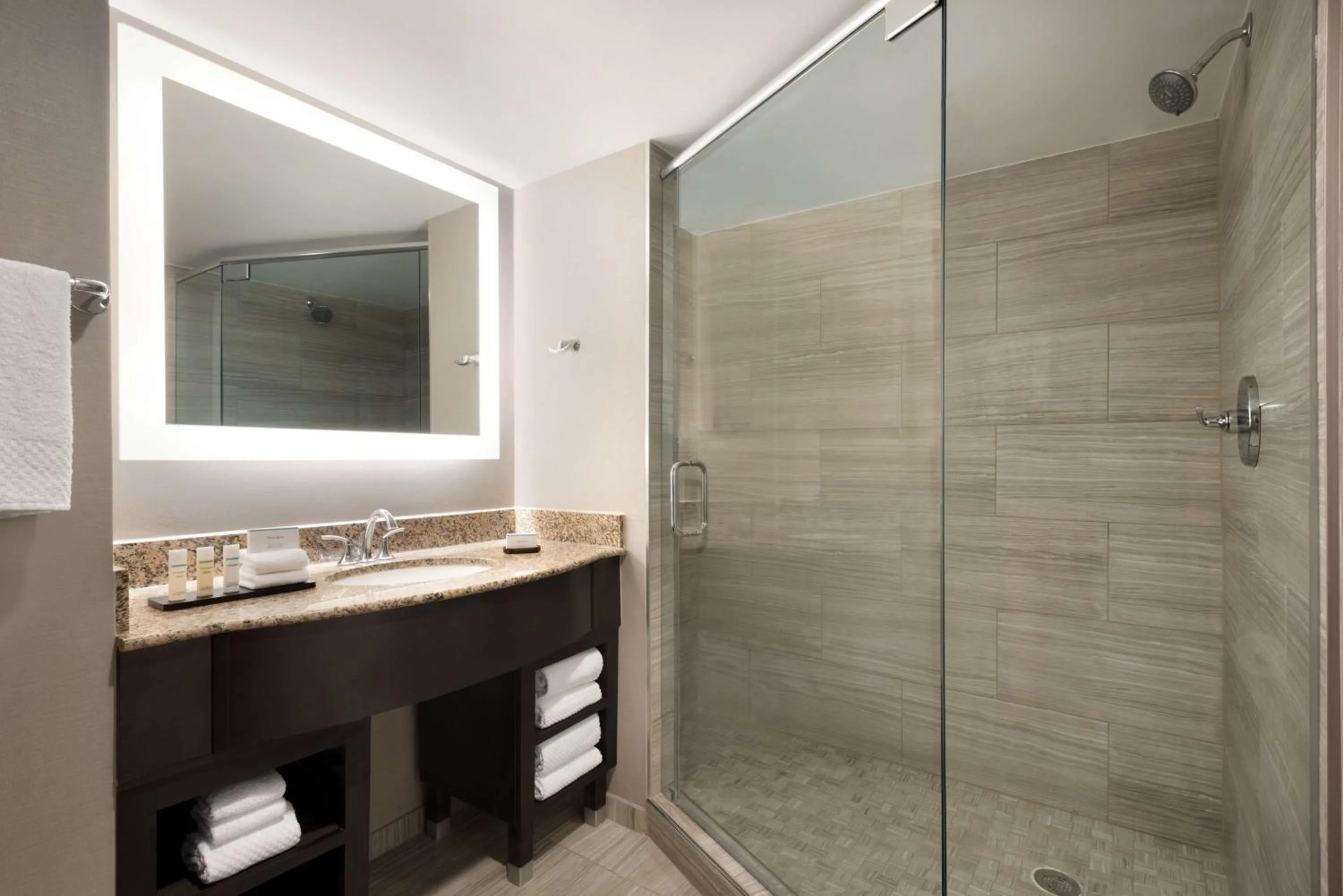 Bathroom in Embassy Suites by Hilton Atlanta Alpharetta