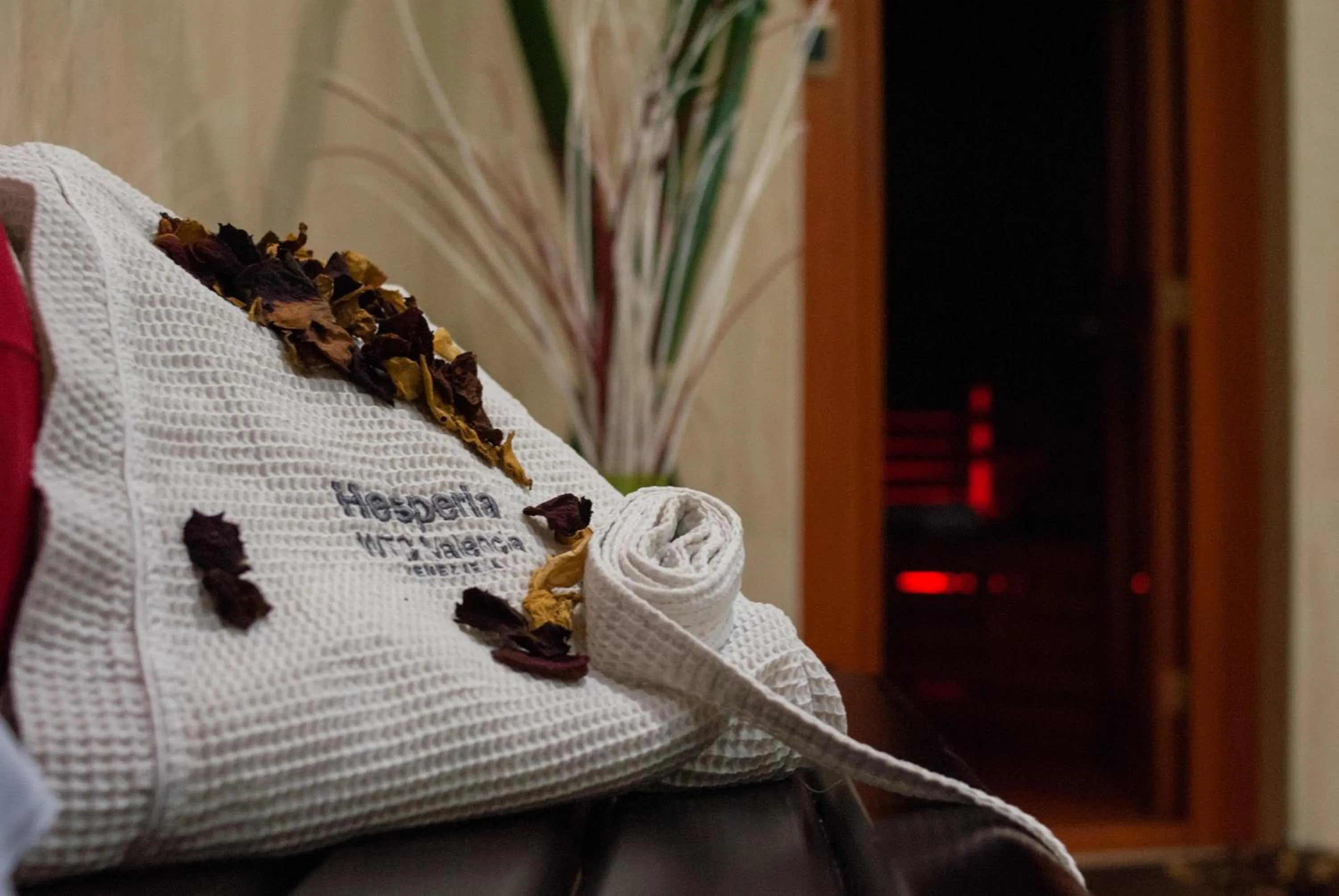 Sauna in Hesperia WTC Valencia