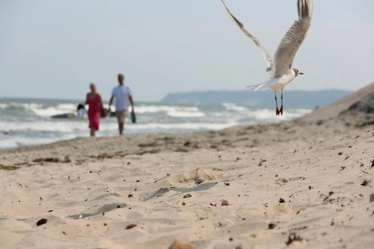 Beach in Hotel Glückauf 1908