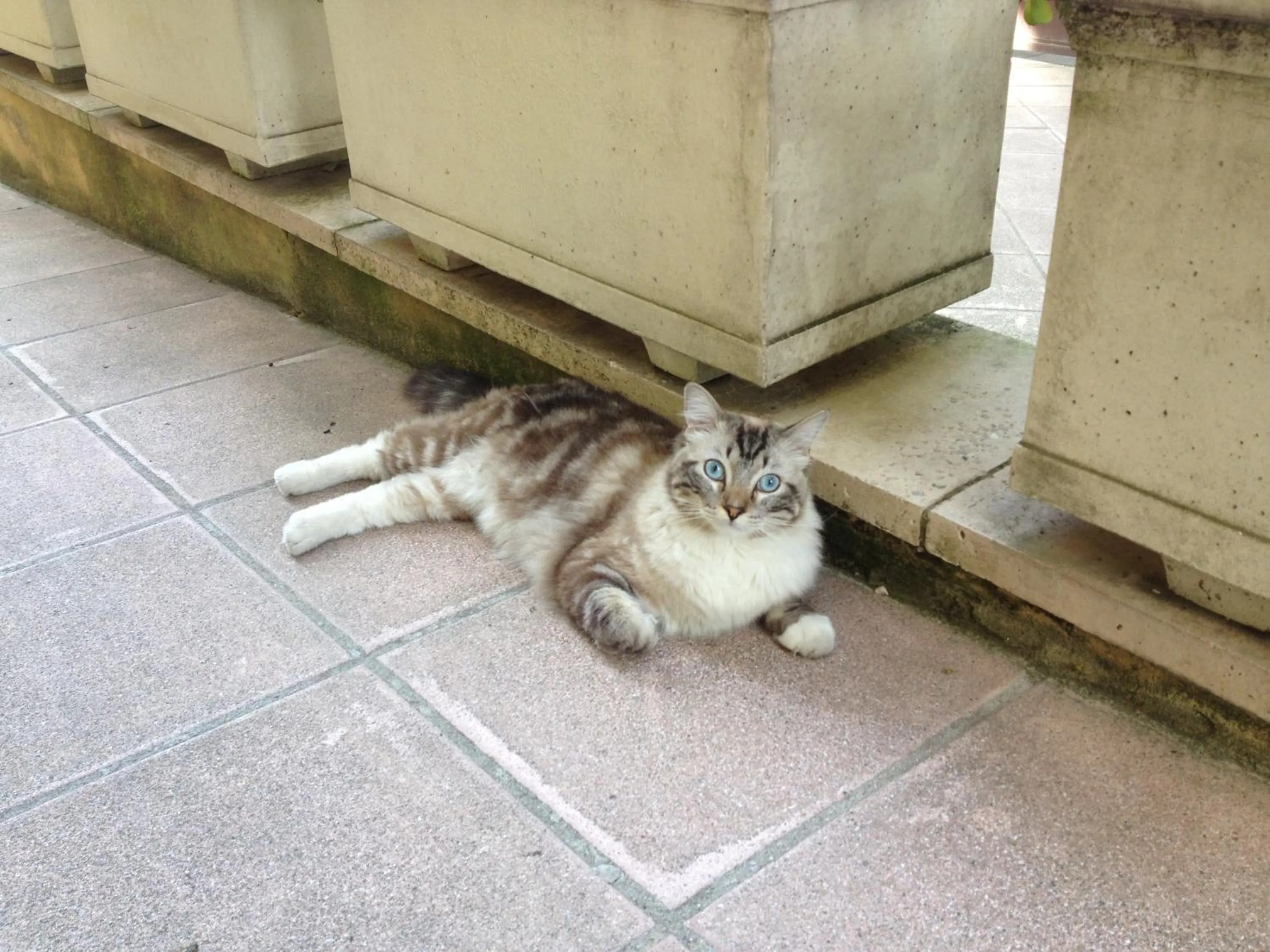 Other in Hotel Europa