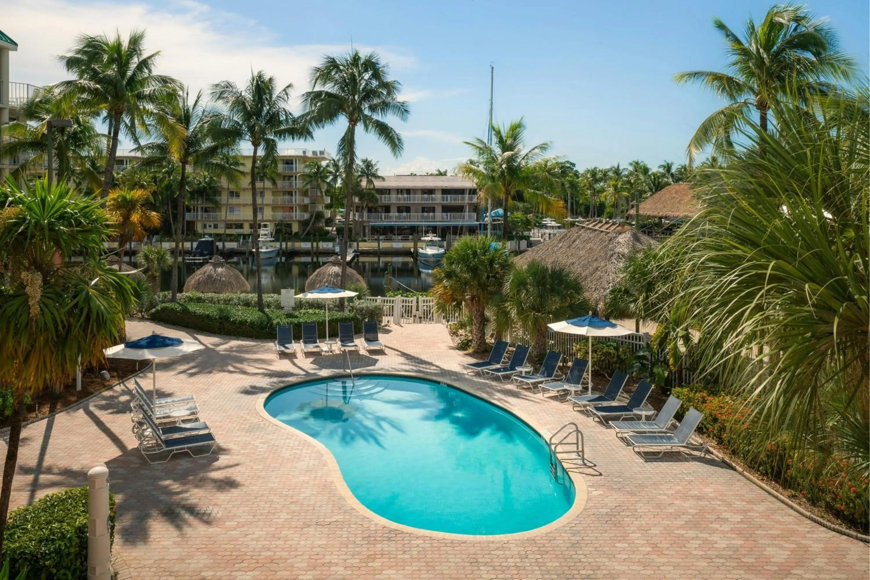 Swimming pool in Courtyard by Marriott Key Largo