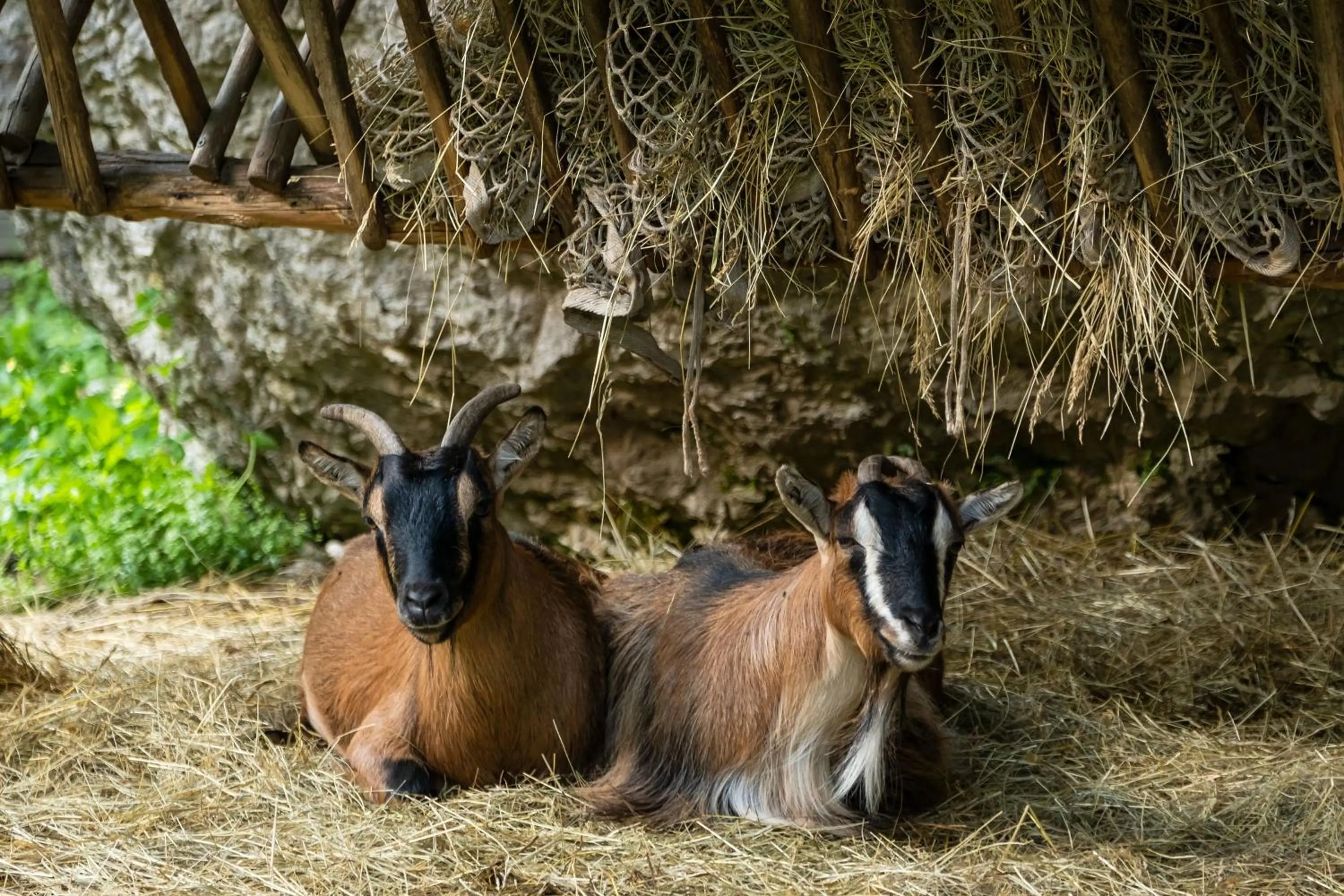 Pristava Lepena Village
