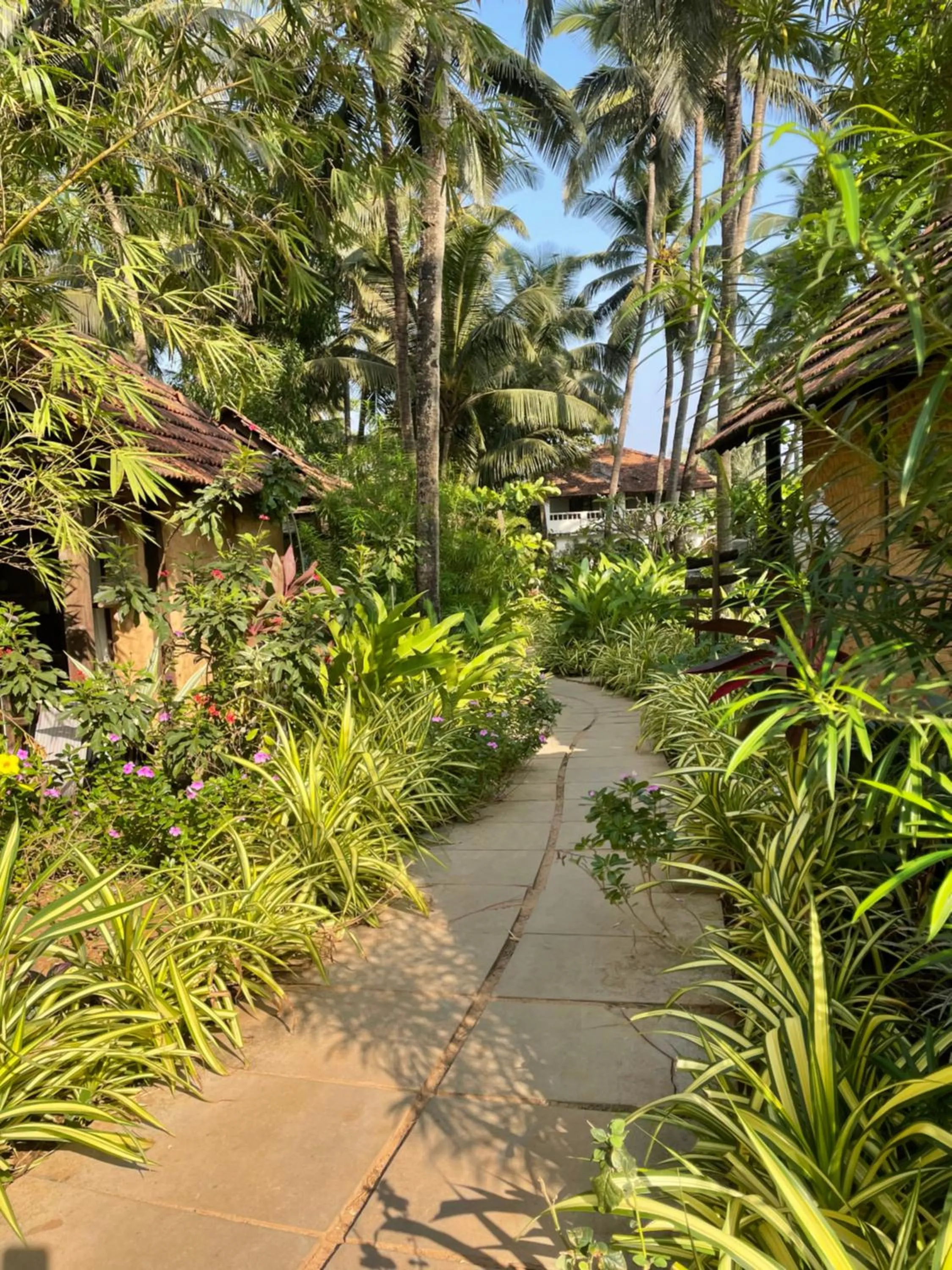 The Village Anjuna
