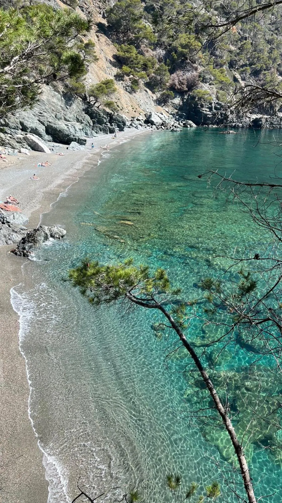 Beach in Hotel Llafranch