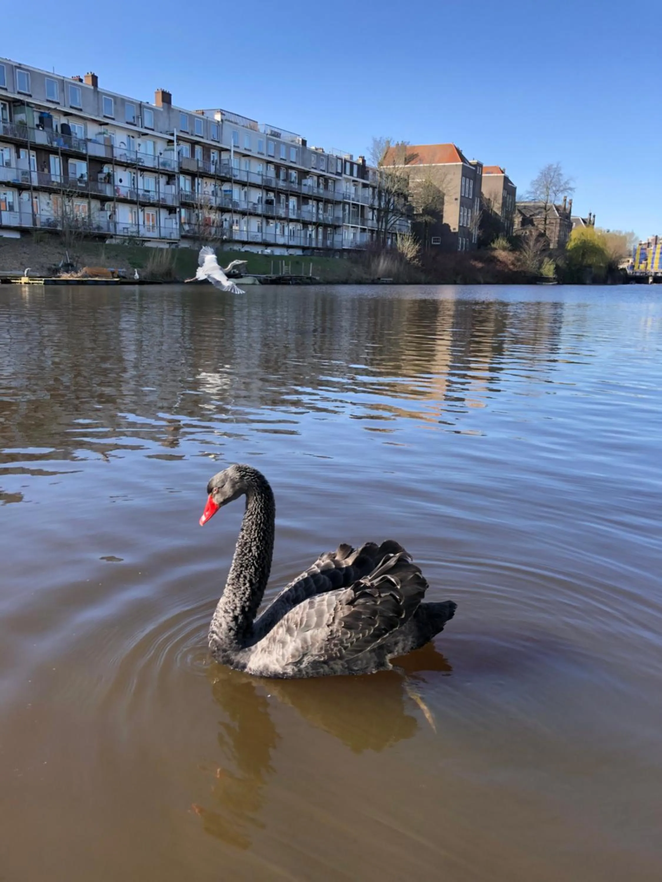 Property building in Luxury studio on Robs houseboat special for couples