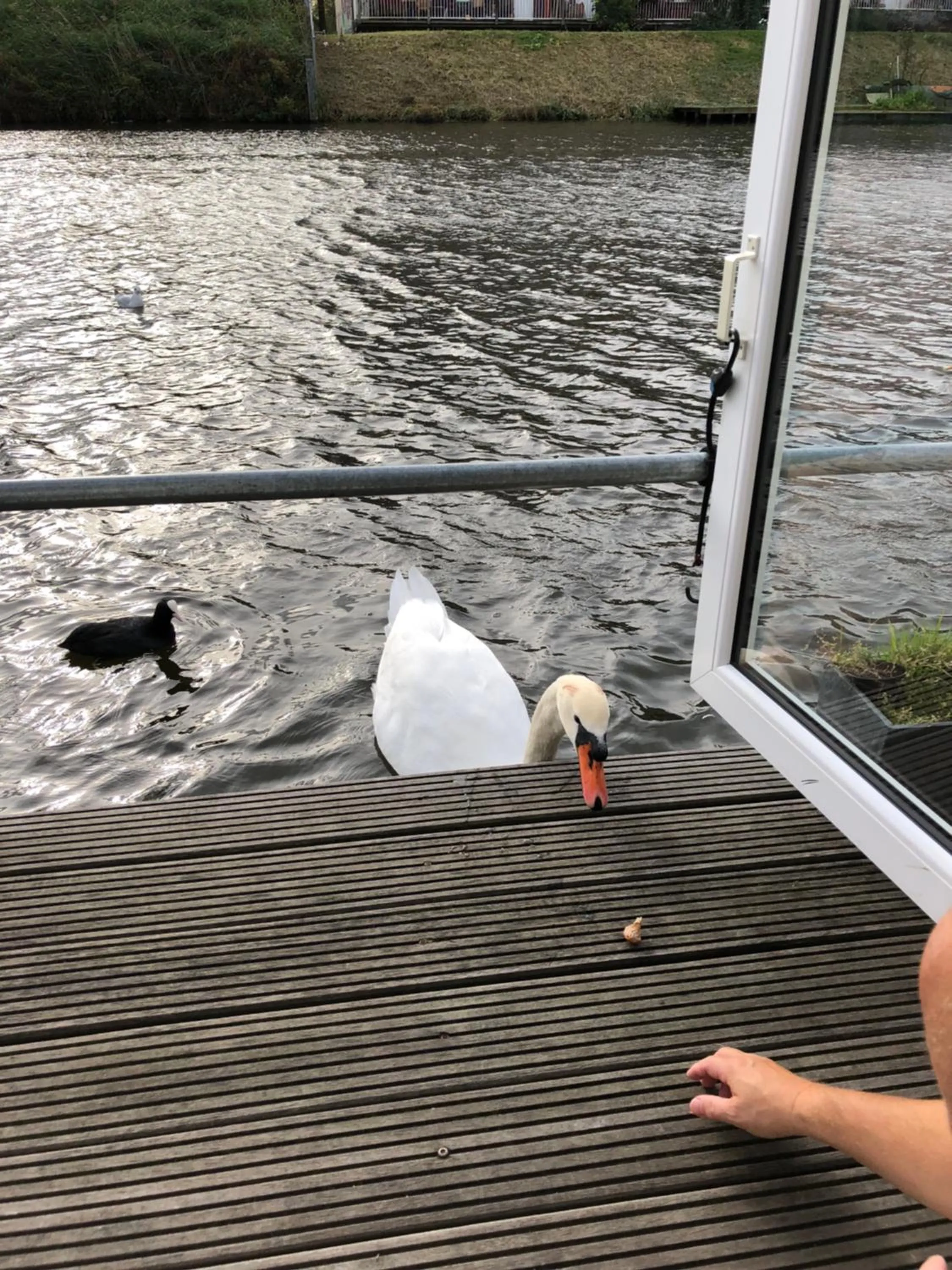 Luxury studio on Robs houseboat special for couples