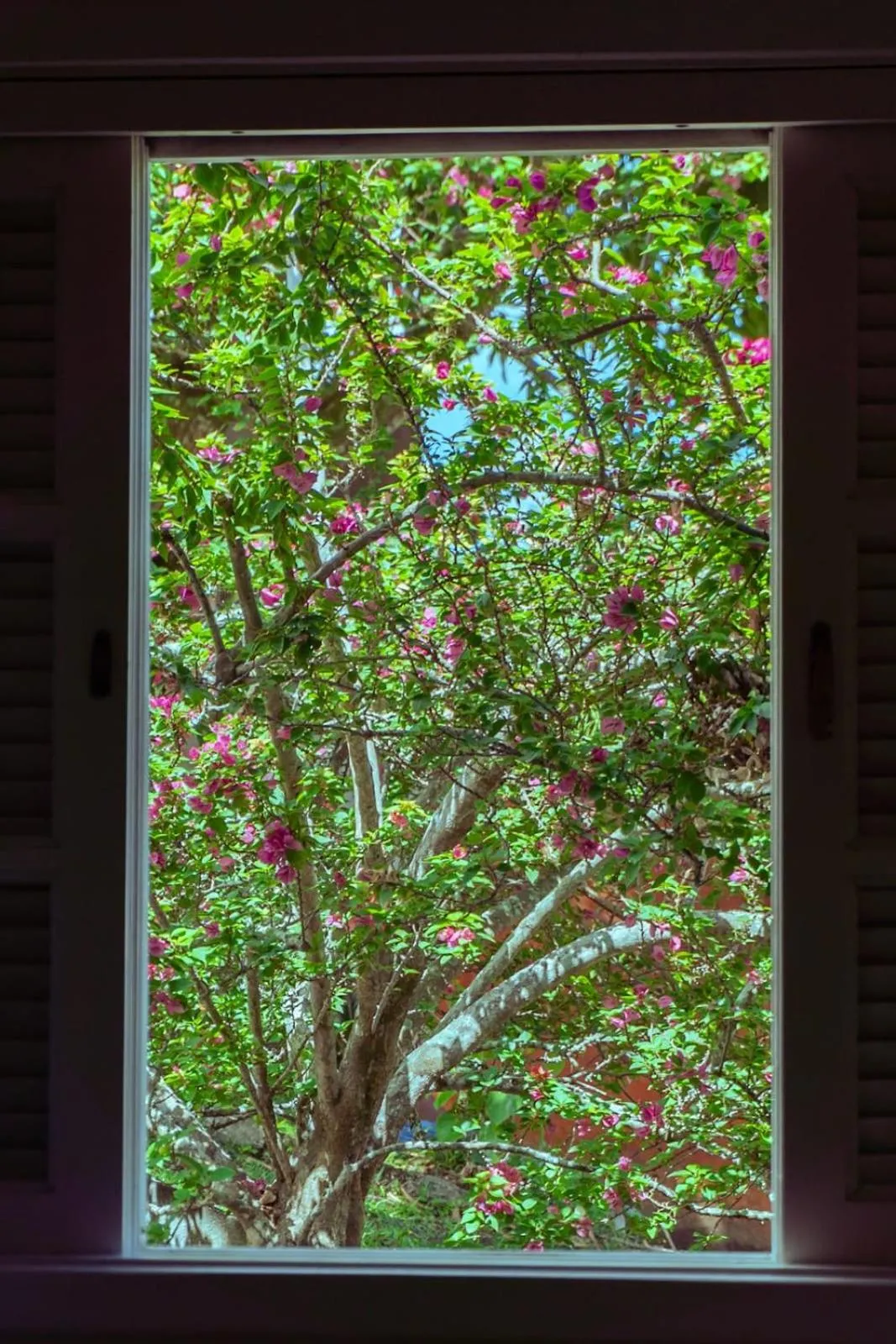 Pousada Sol do Araçá