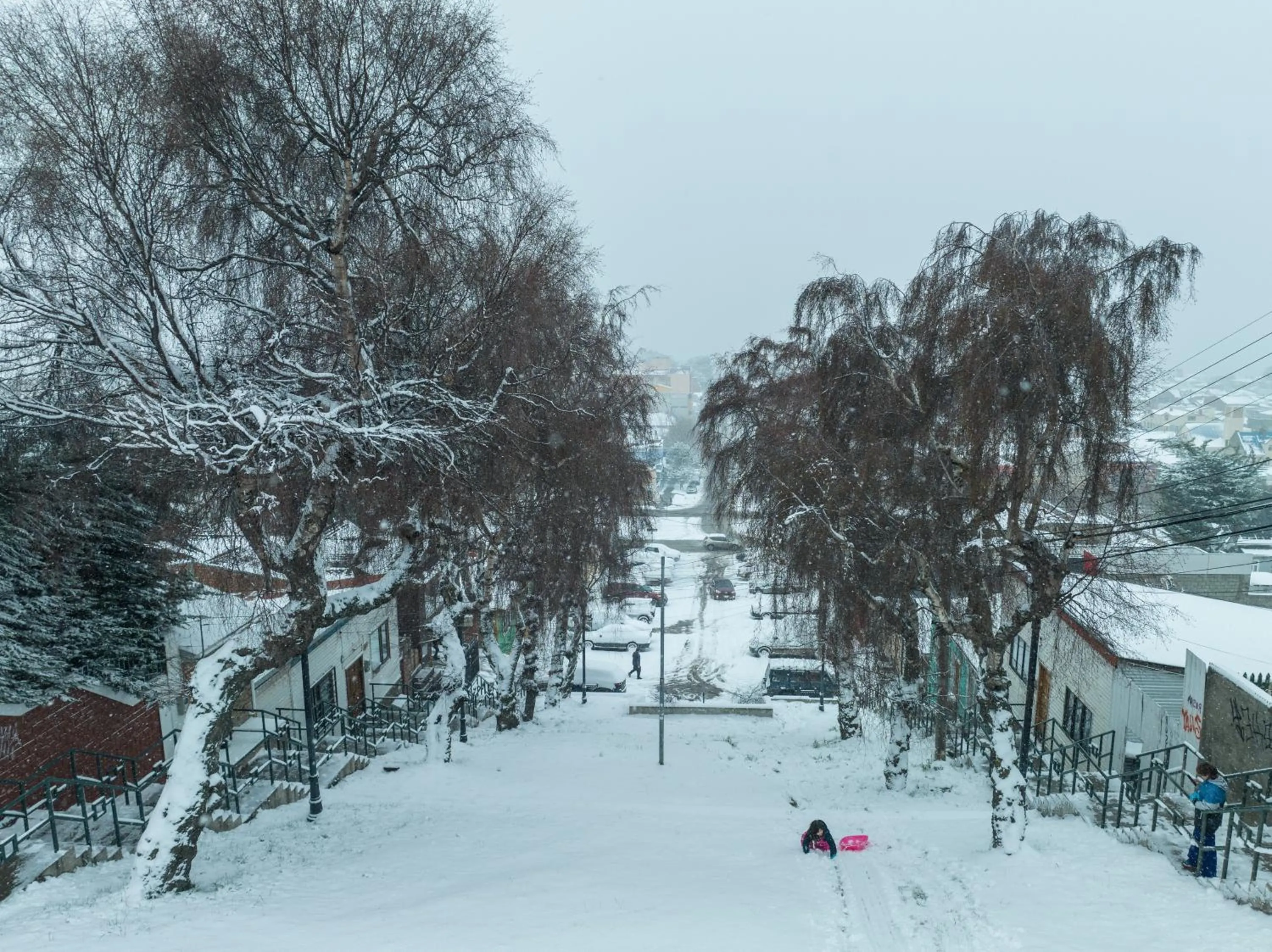 Day in Almasur Express Punta Arenas