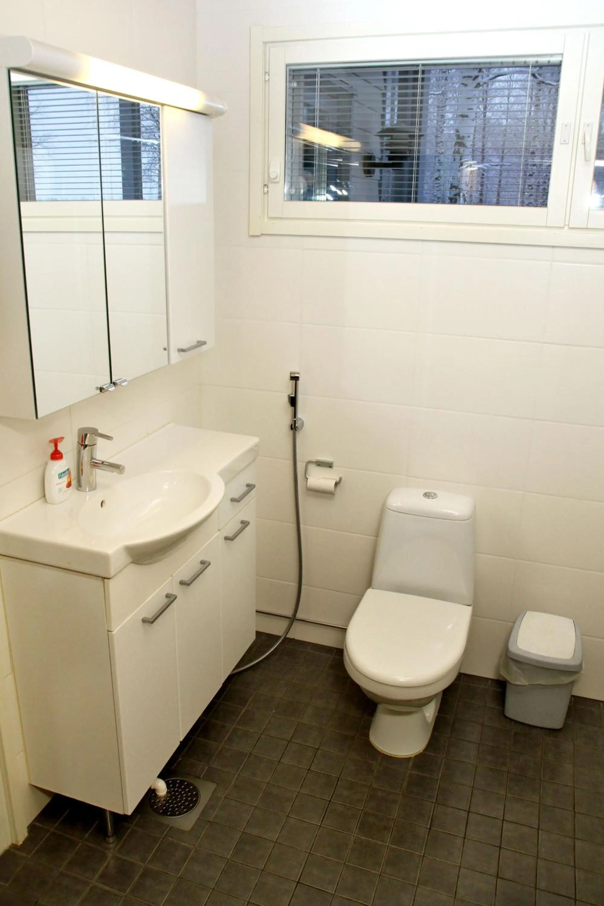 Toilet in Holiday Linnunlahti