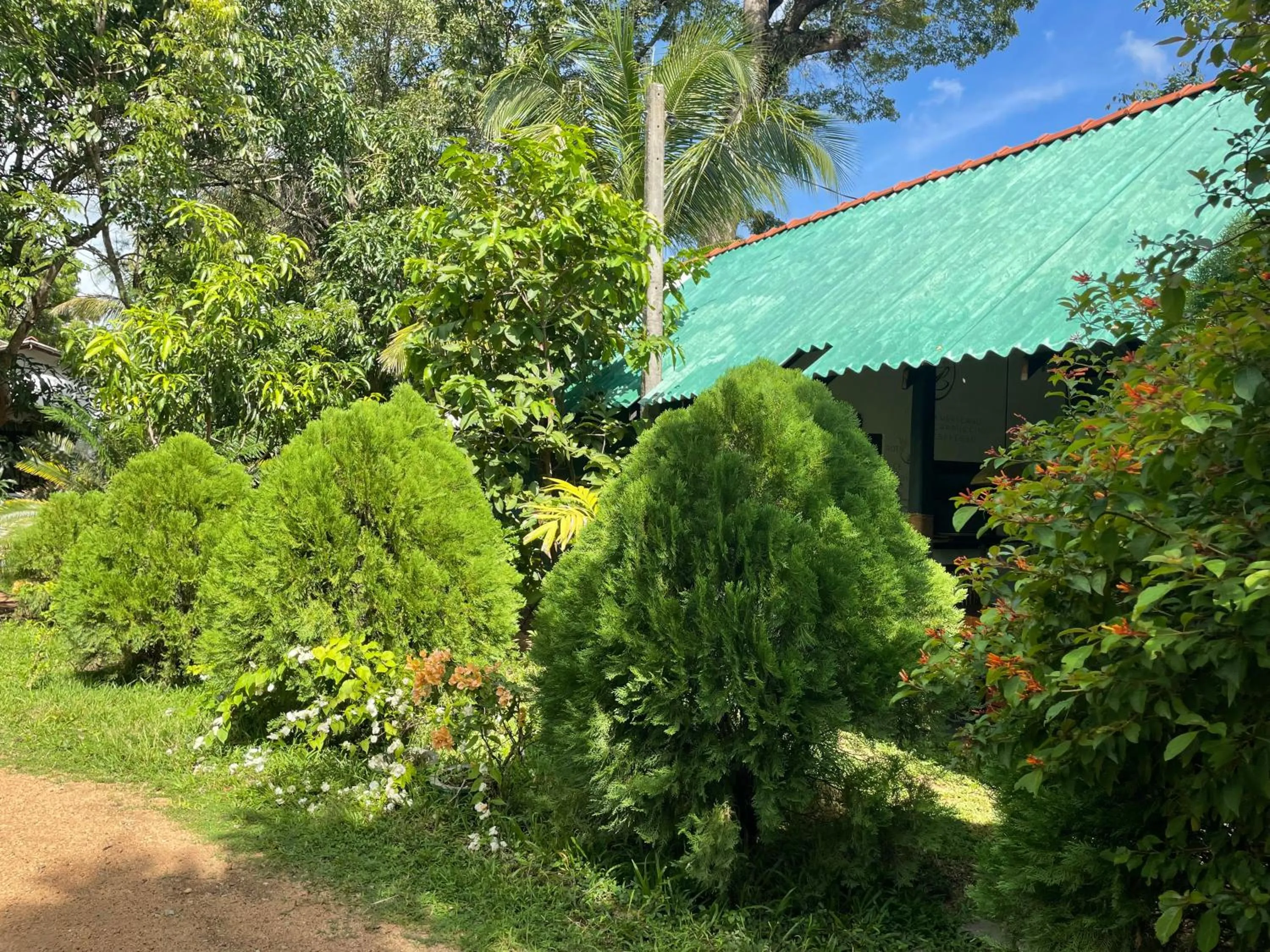 Natural landscape in Sigiri Shen Residence