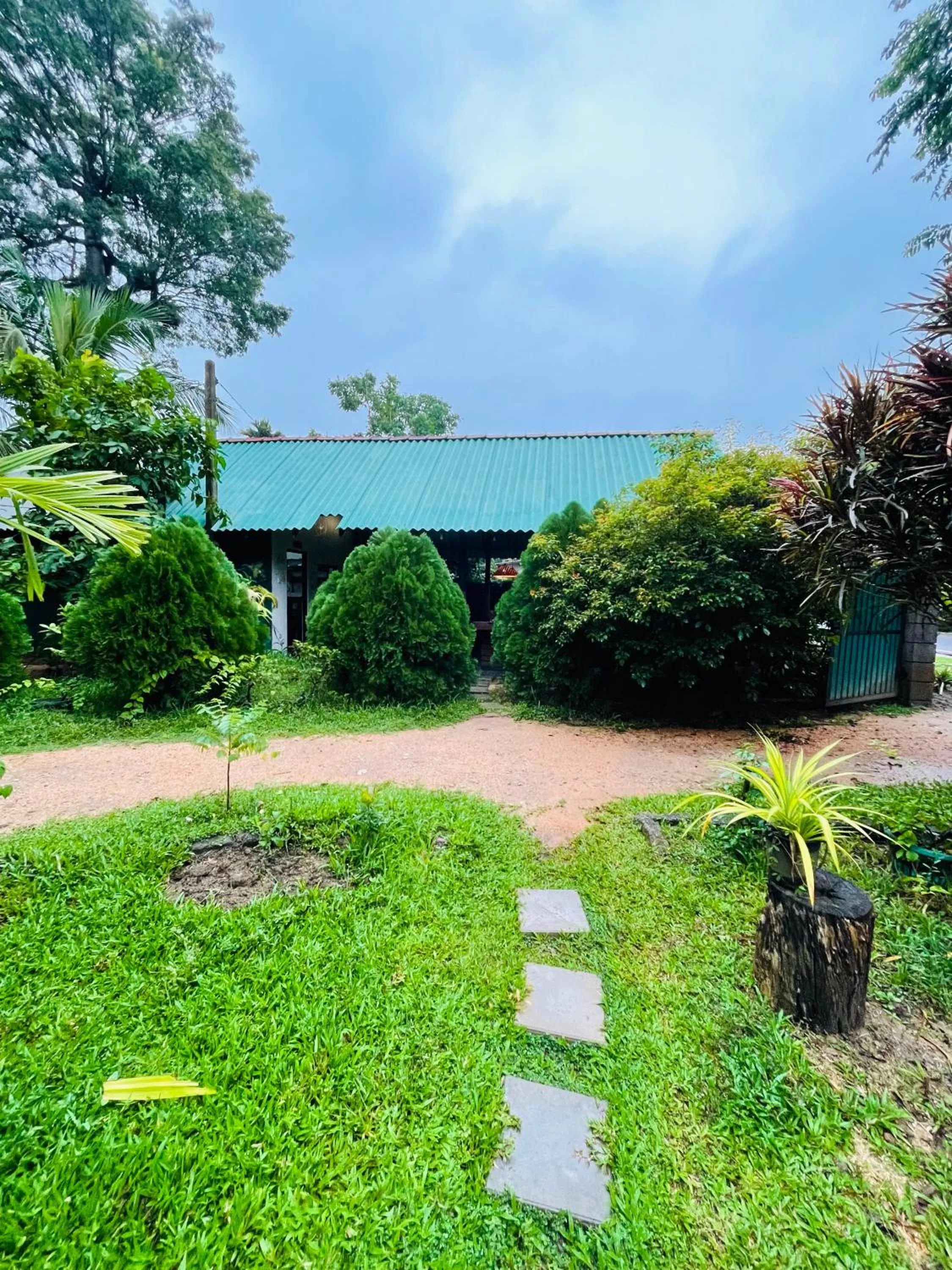 Garden in Sigiri Shen Residence