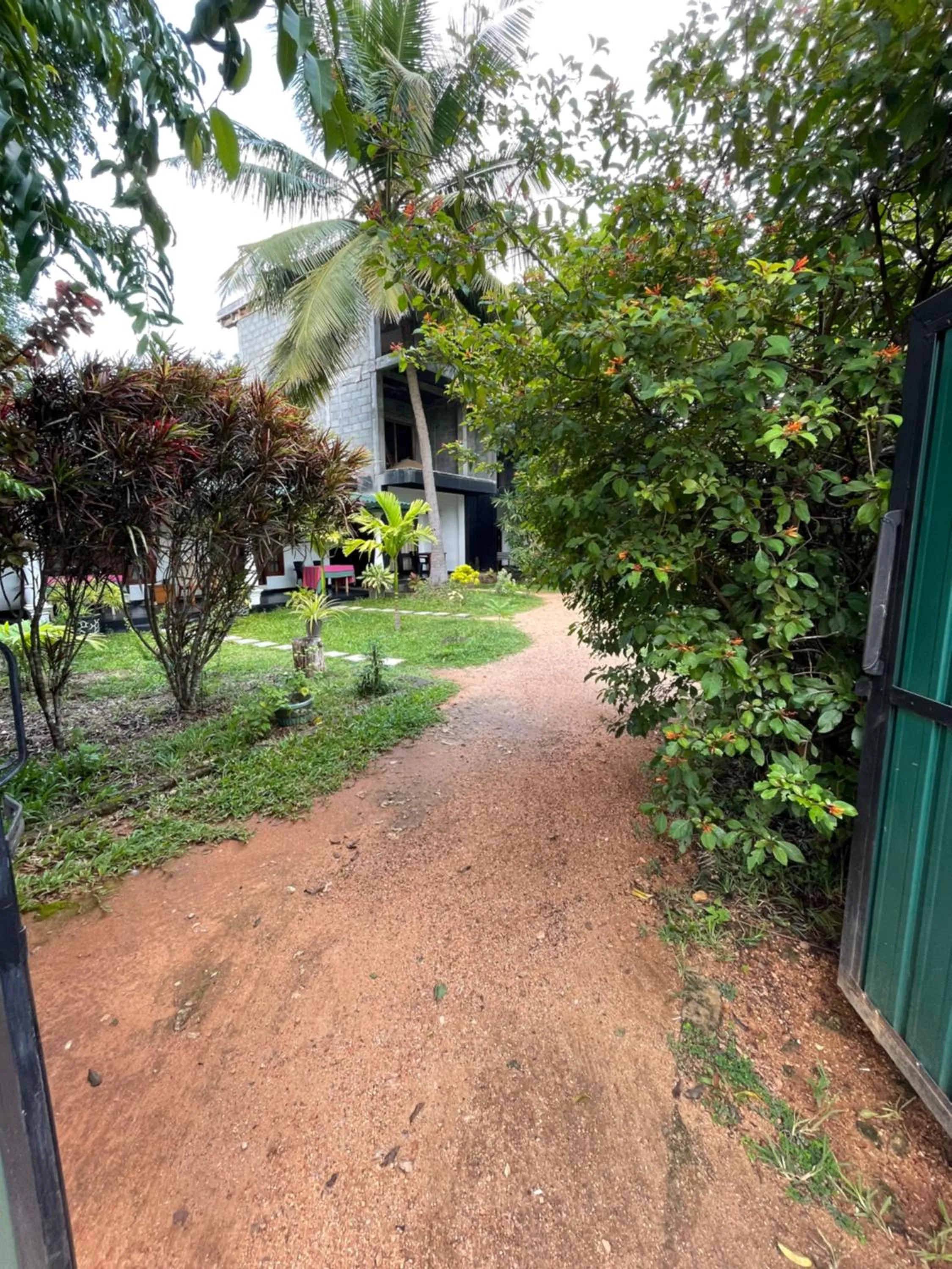 Garden in Sigiri Shen Residence